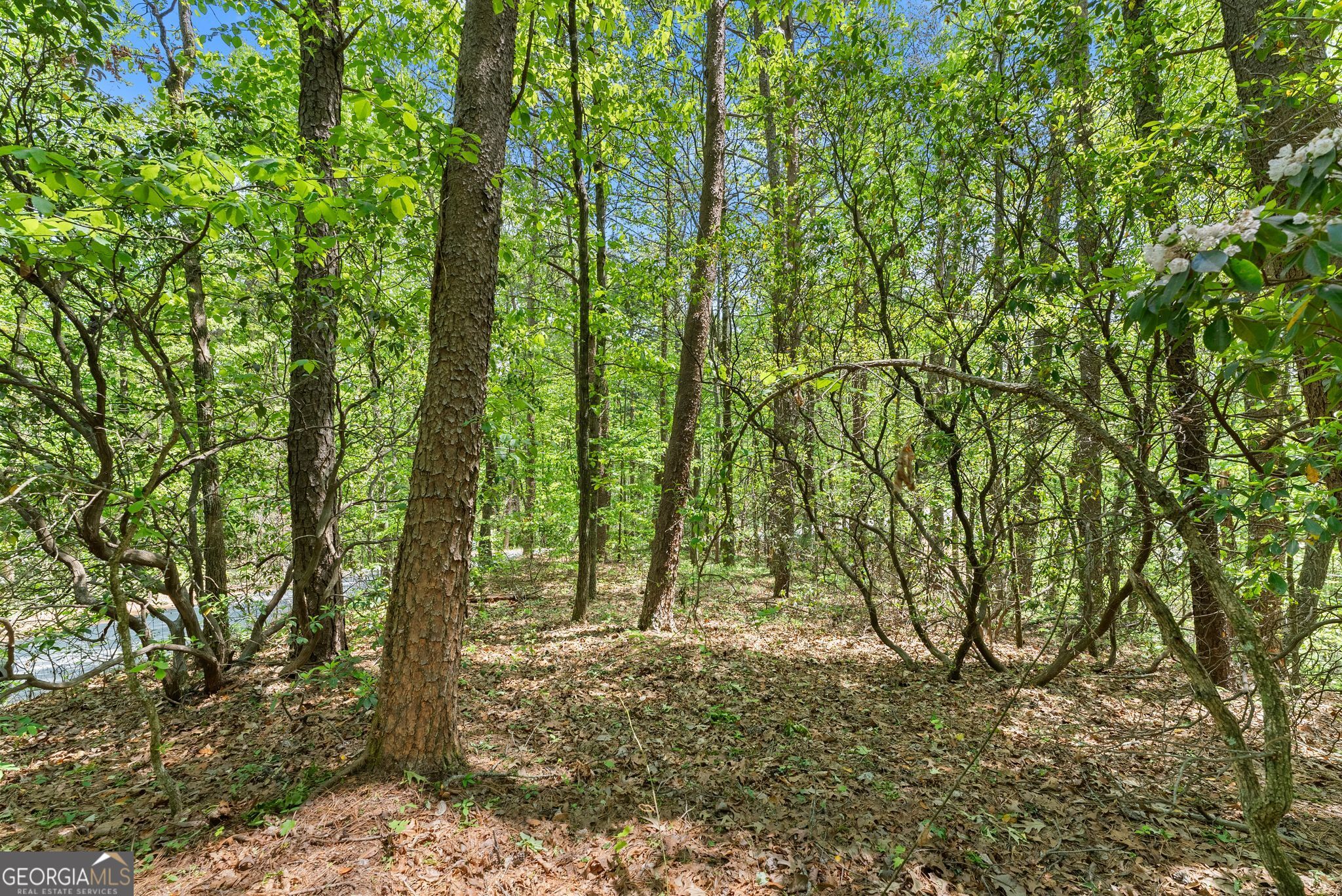 0 Monroe Ridge Road Property Photo 6