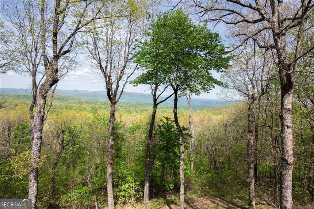1093 Lower Sassafras Parkway Property Photo 78