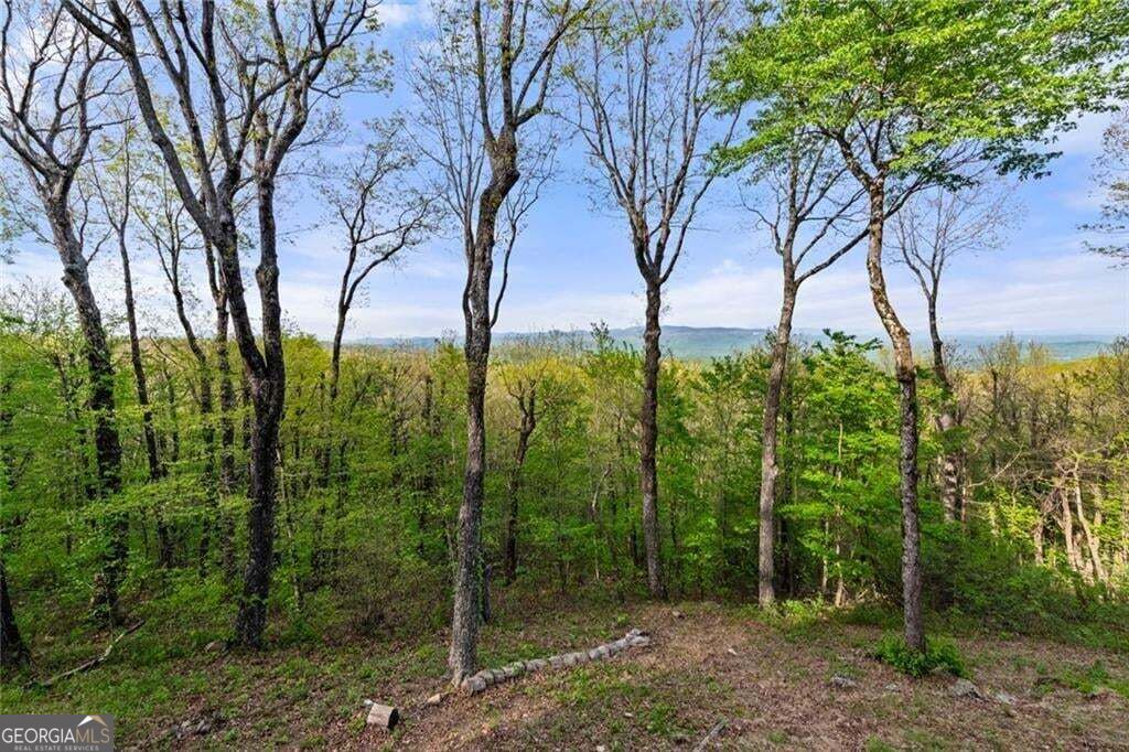 1093 Lower Sassafras Parkway Property Photo 81