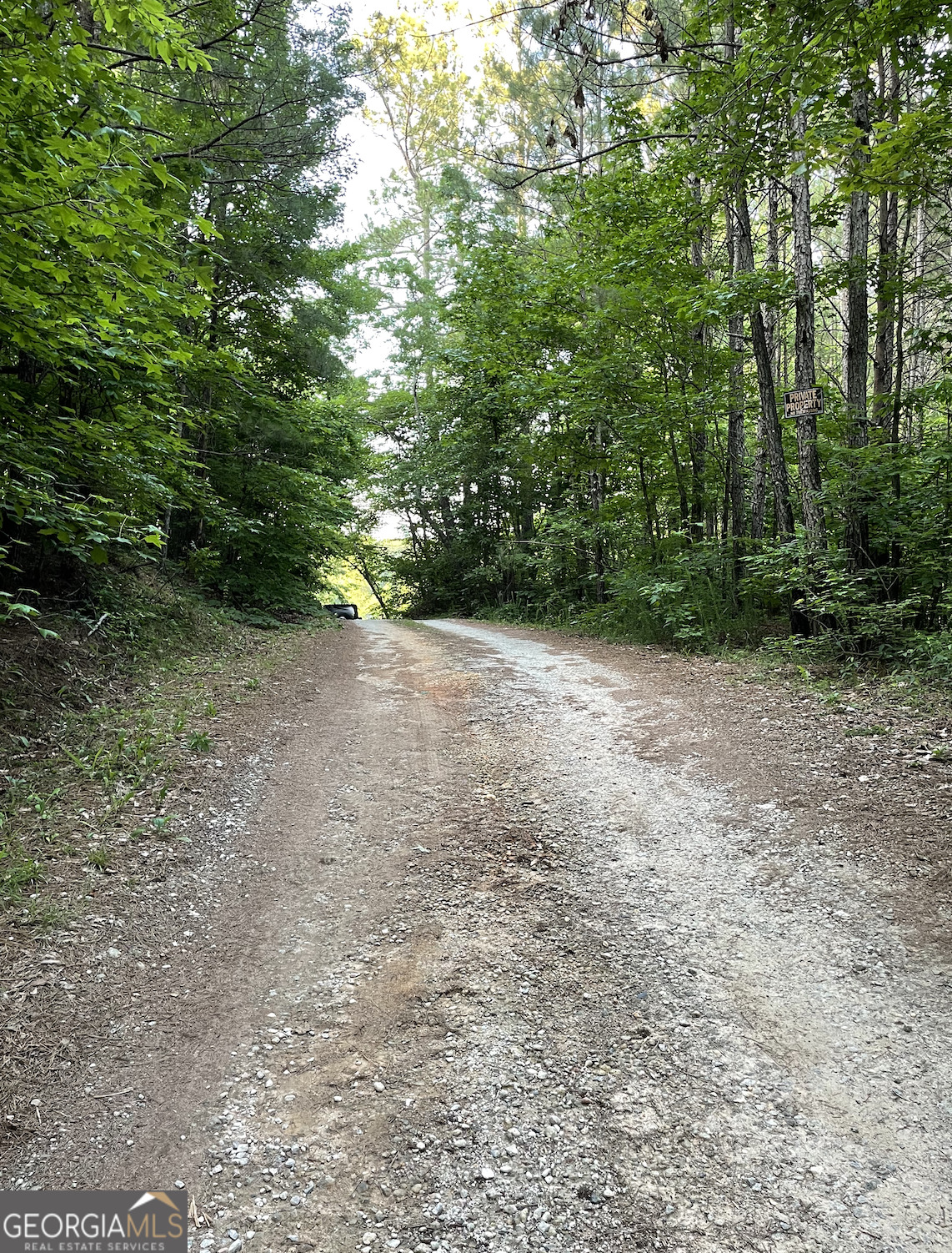 0 Us Highway 78 Property Photo 4