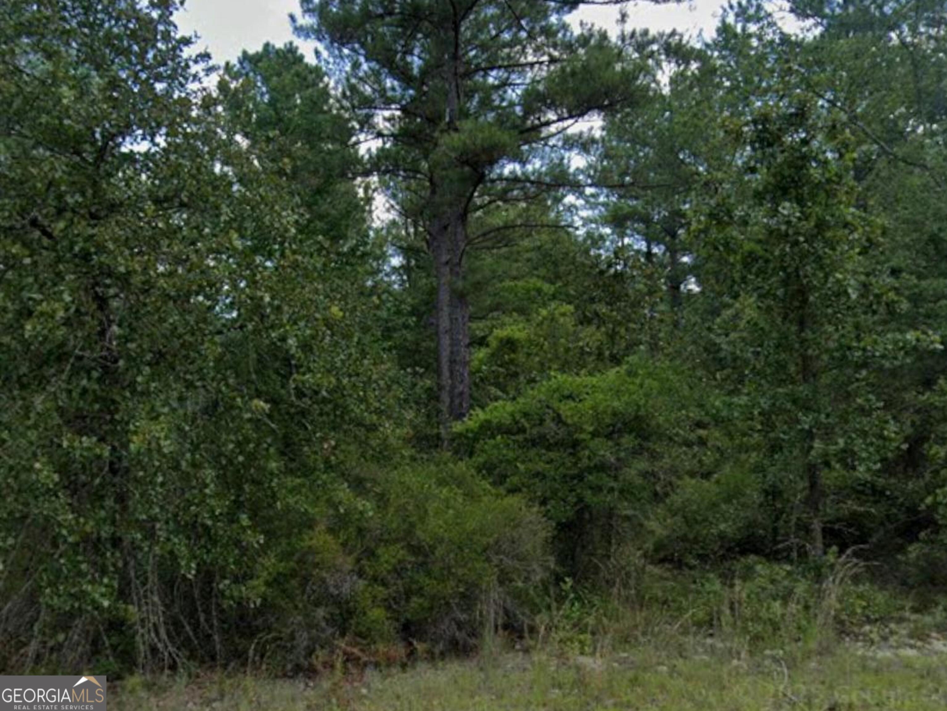 0 Addie Trail Property Photo 2