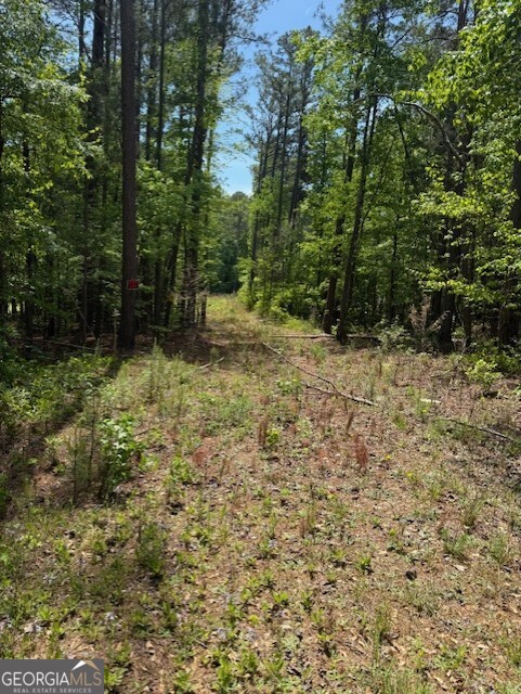 580 Dutchman Road Property Photo 1