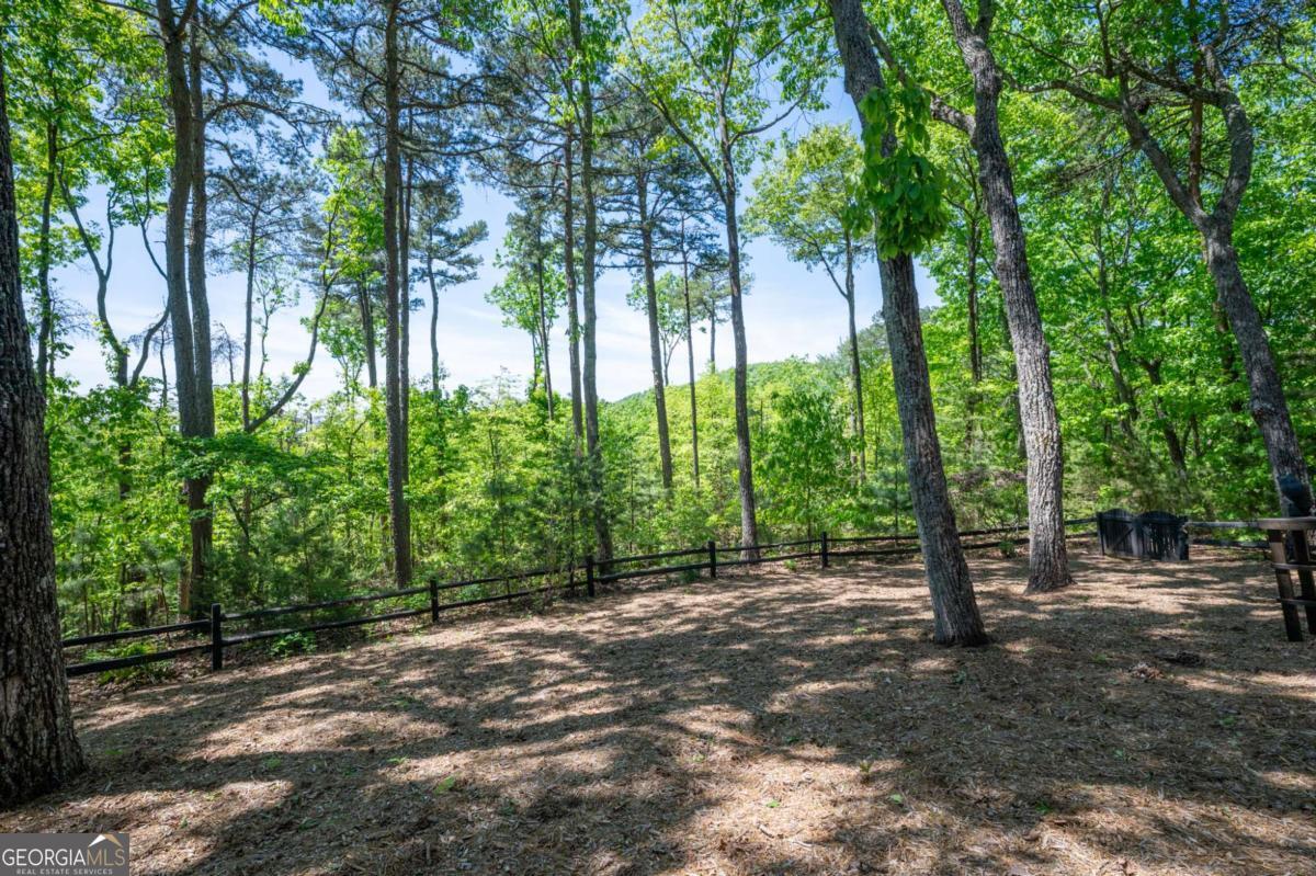 160 Bluestern Drive Se Property Photo 62