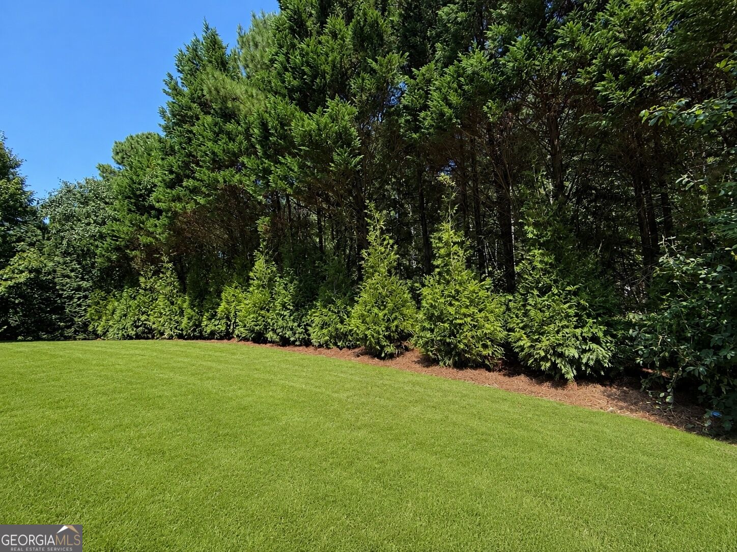 2083 Skybrooke Lane Property Photo 47