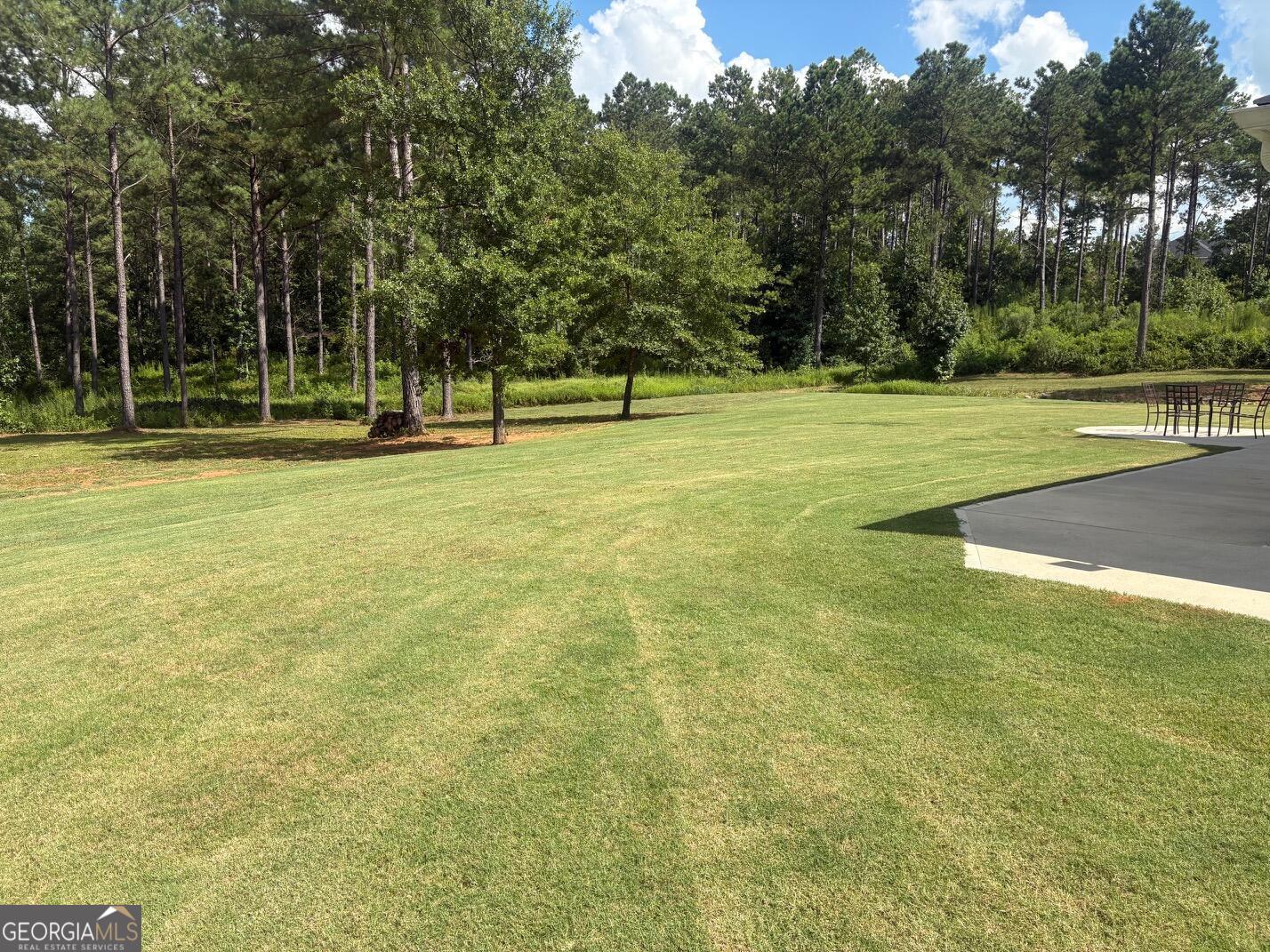 202 Millwood Court Property Photo 41