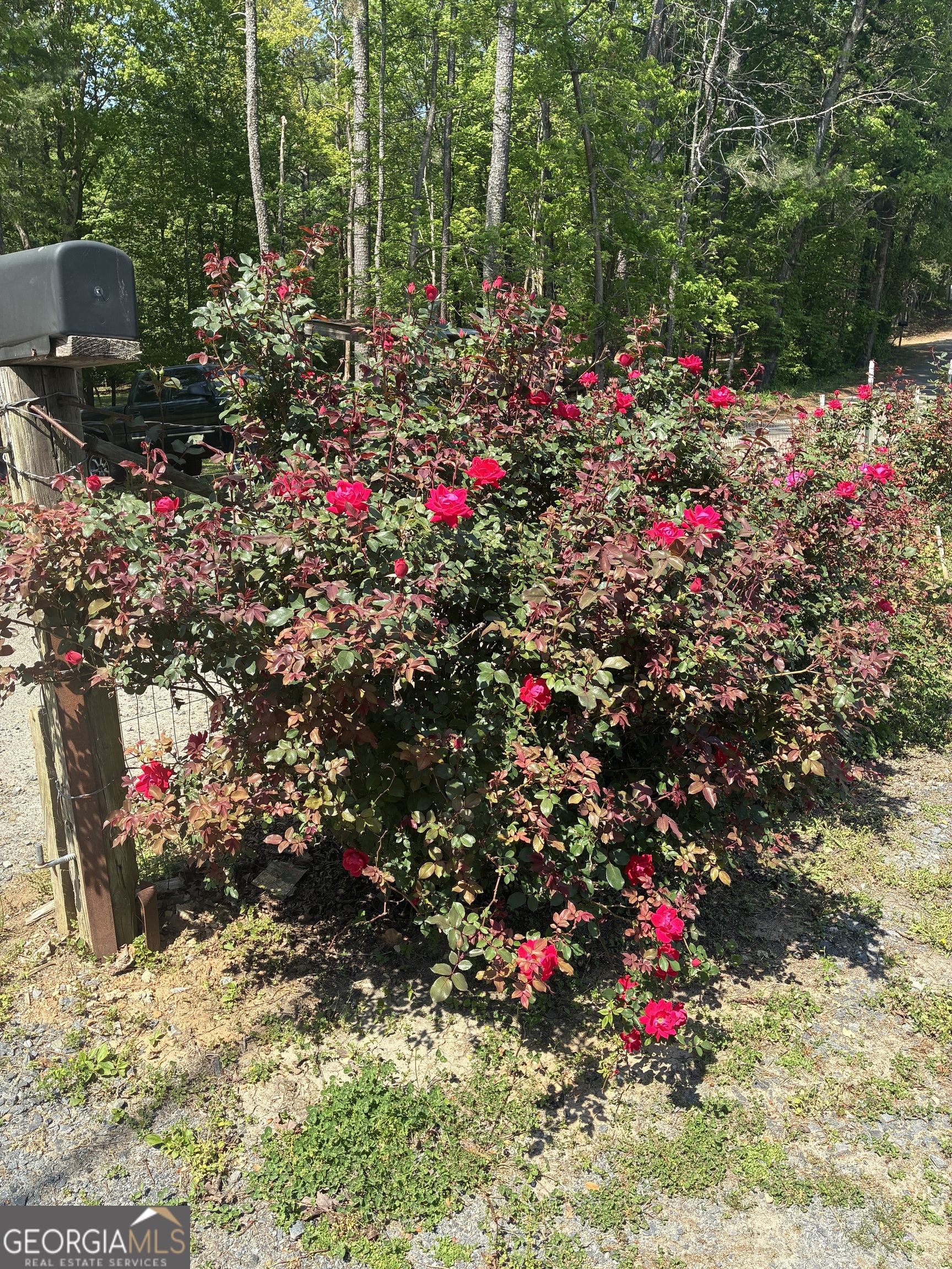 407 Knight Drive Property Photo 2