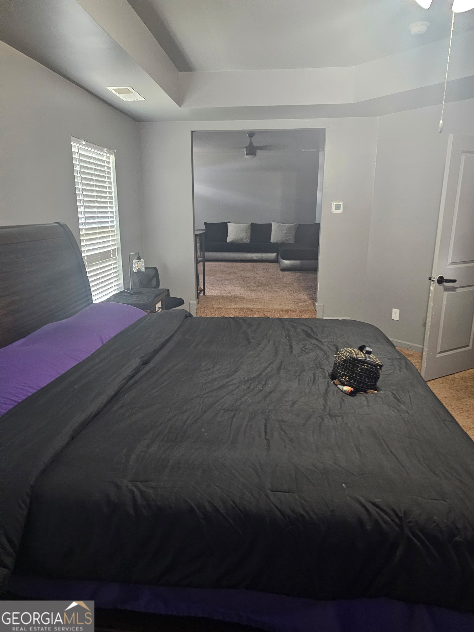 9790 Braxley Way Property Photo 16