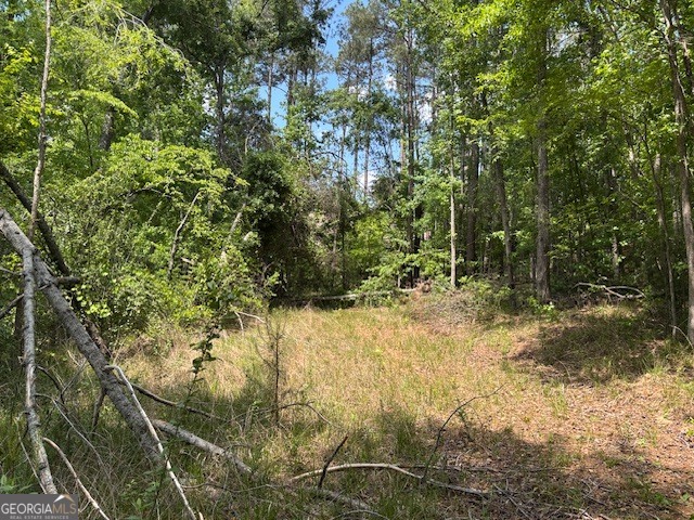 2064 Glenn Falls Property Photo 6