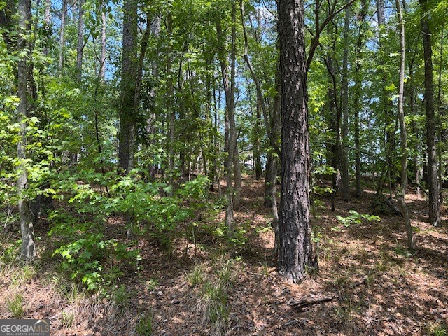 2064 Glenn Falls Property Photo 7