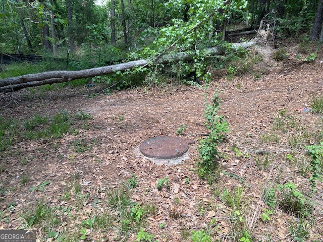 2064 Glenn Falls Property Photo 9