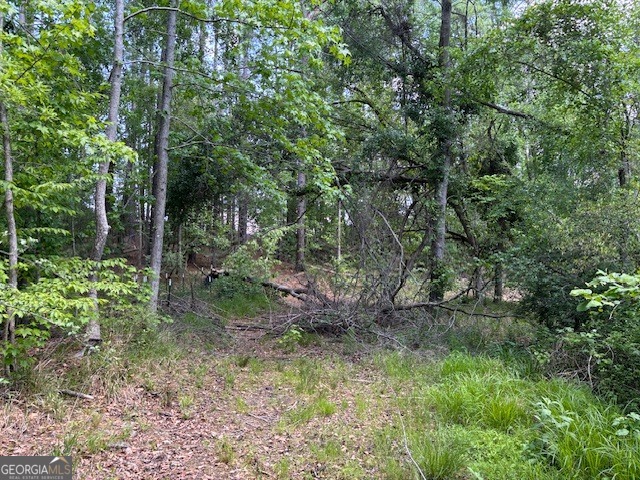 2064 Glenn Falls Property Photo 10