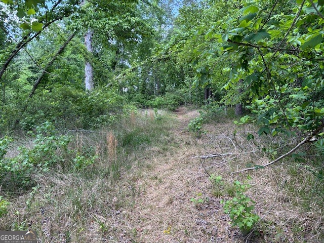 2064 Glenn Falls Property Photo 11