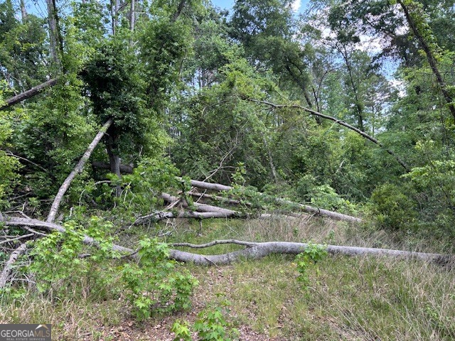 2064 Glenn Falls Property Photo 12