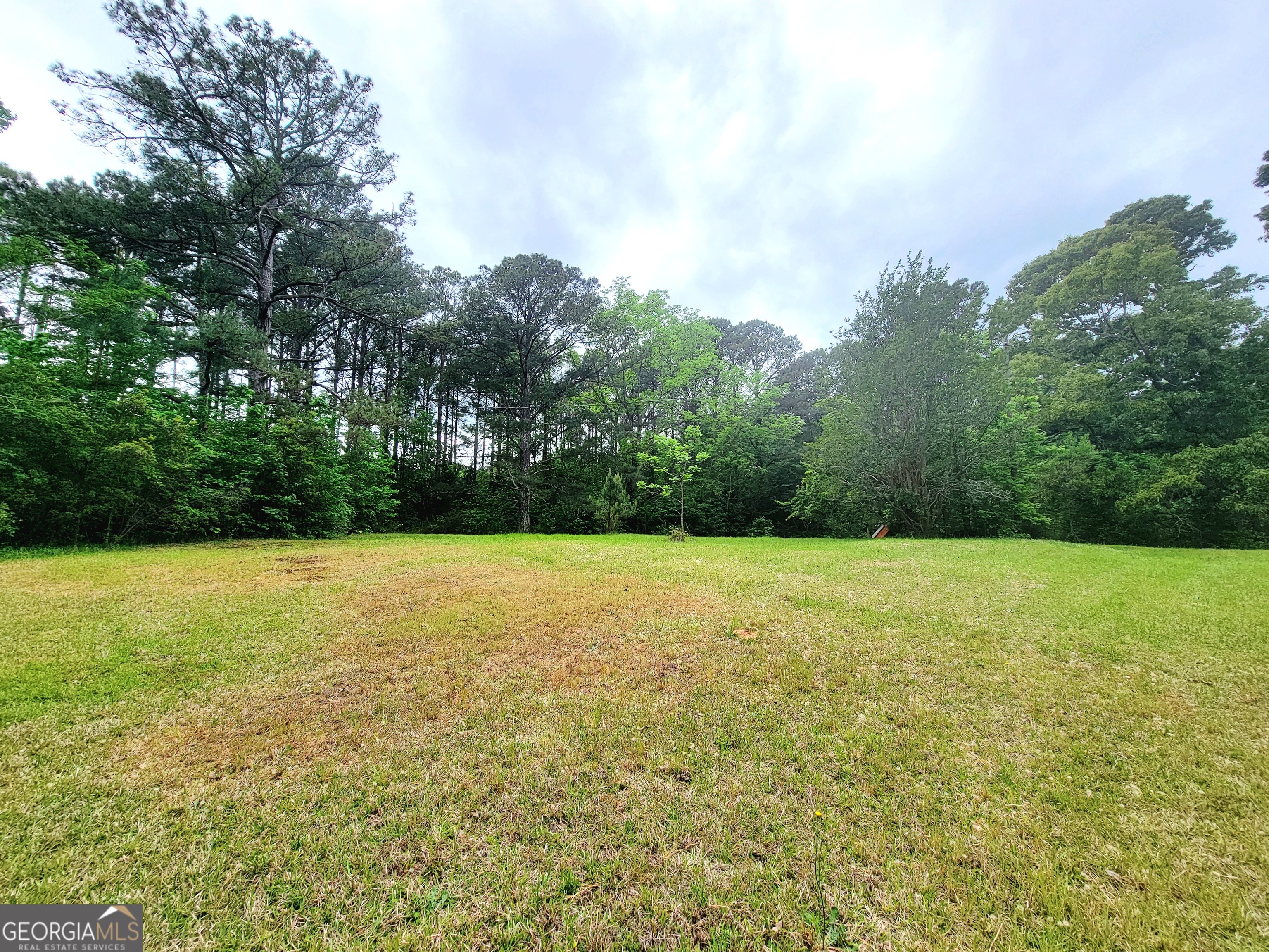 11670 Ga Highway 18 Property Photo 5