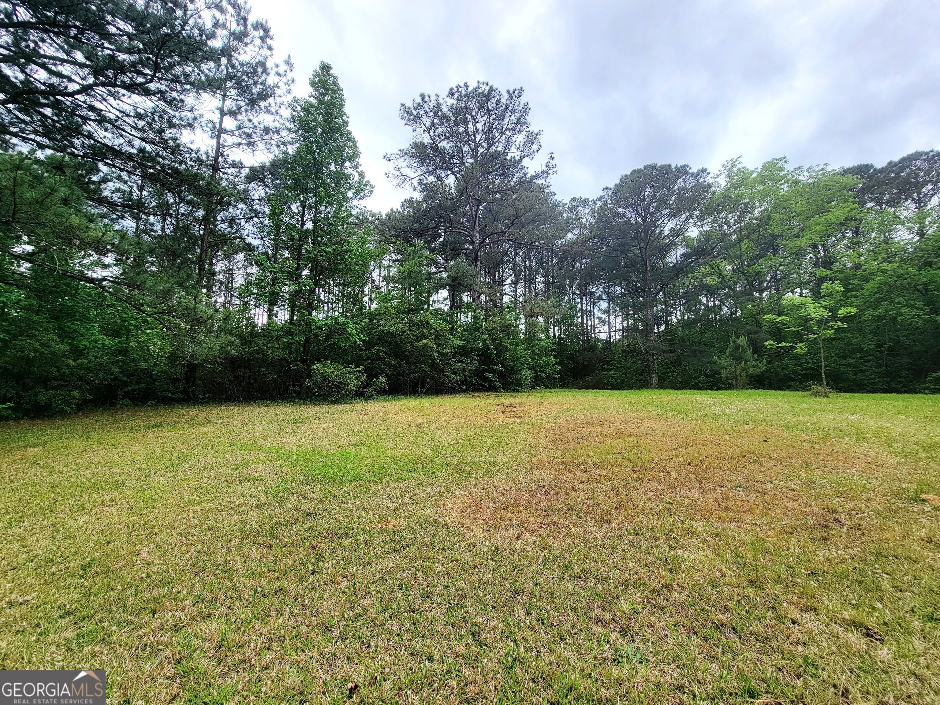 11670 Ga Highway 18 Property Photo 6