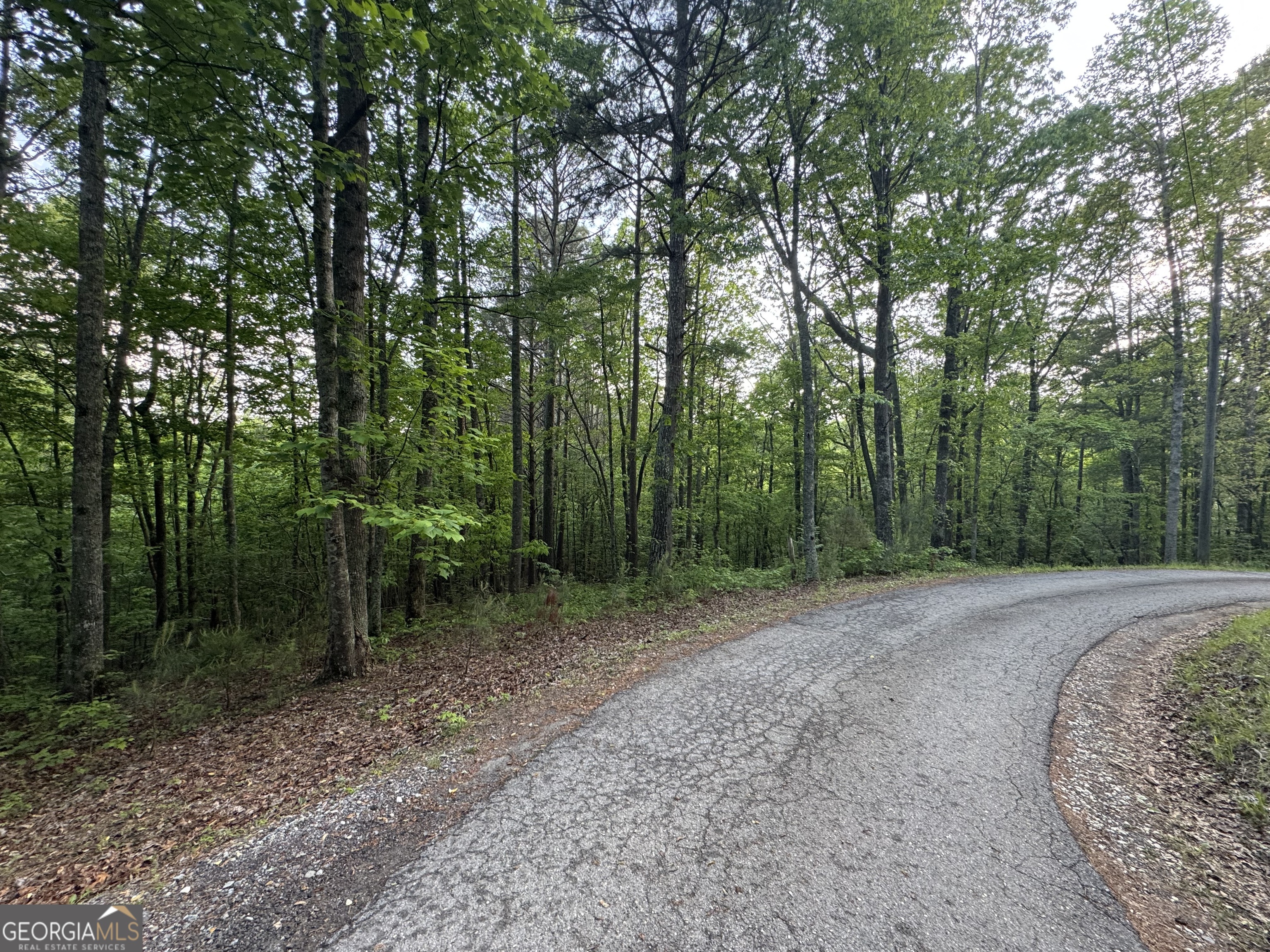 1 Holley Heights Property Photo 1