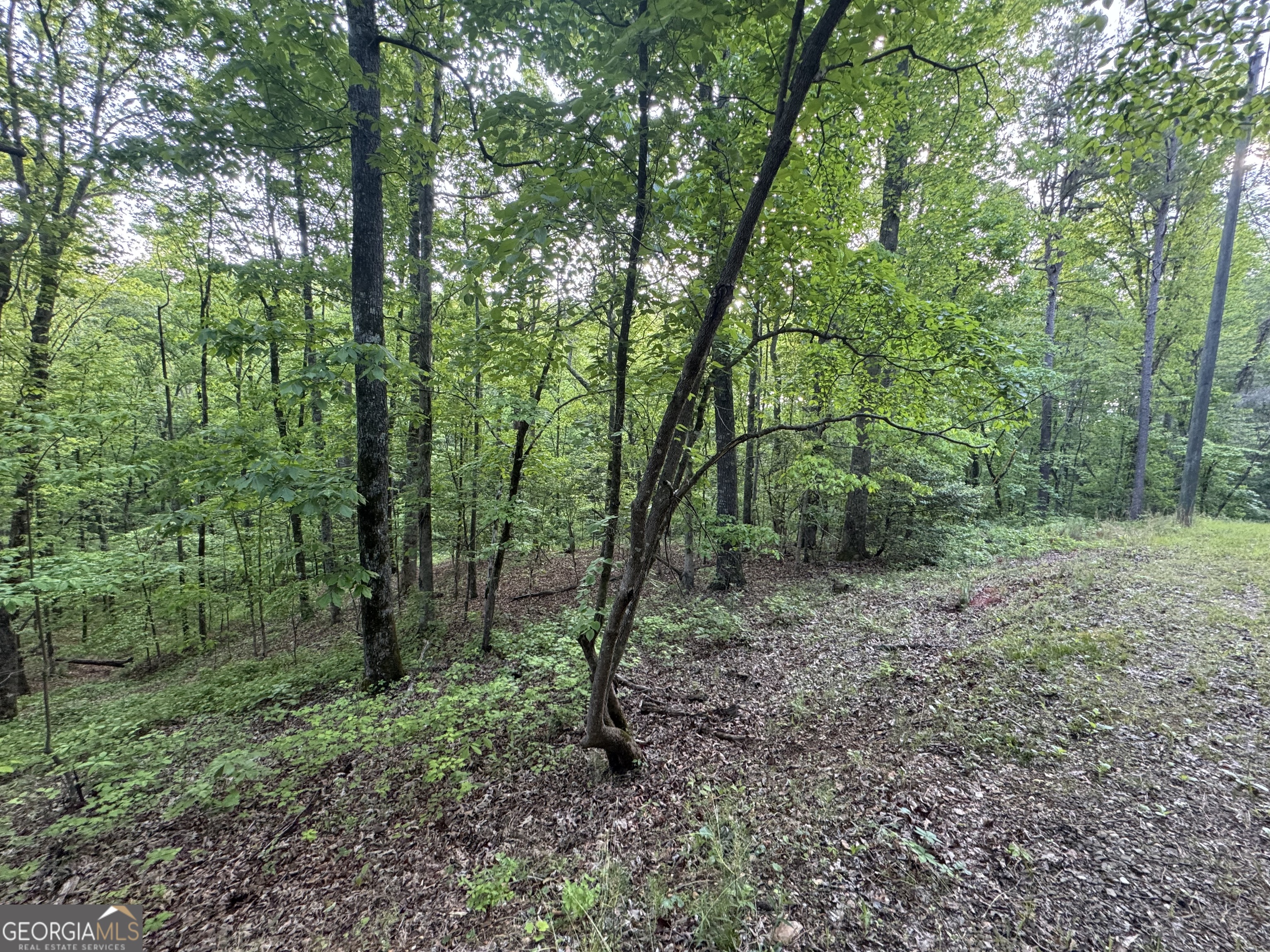 1 Holley Heights Property Photo 2