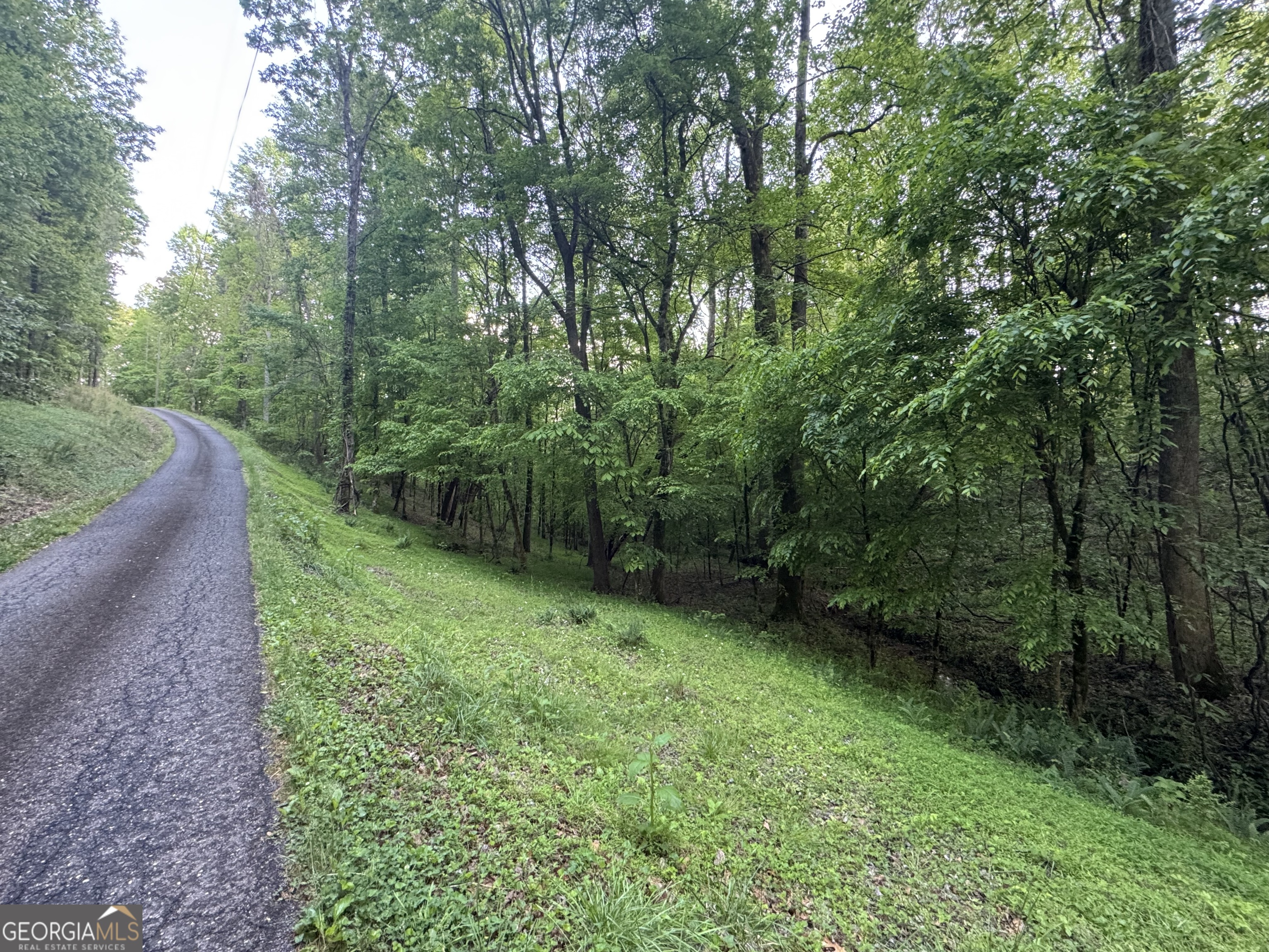 1 Holley Heights Property Photo 3