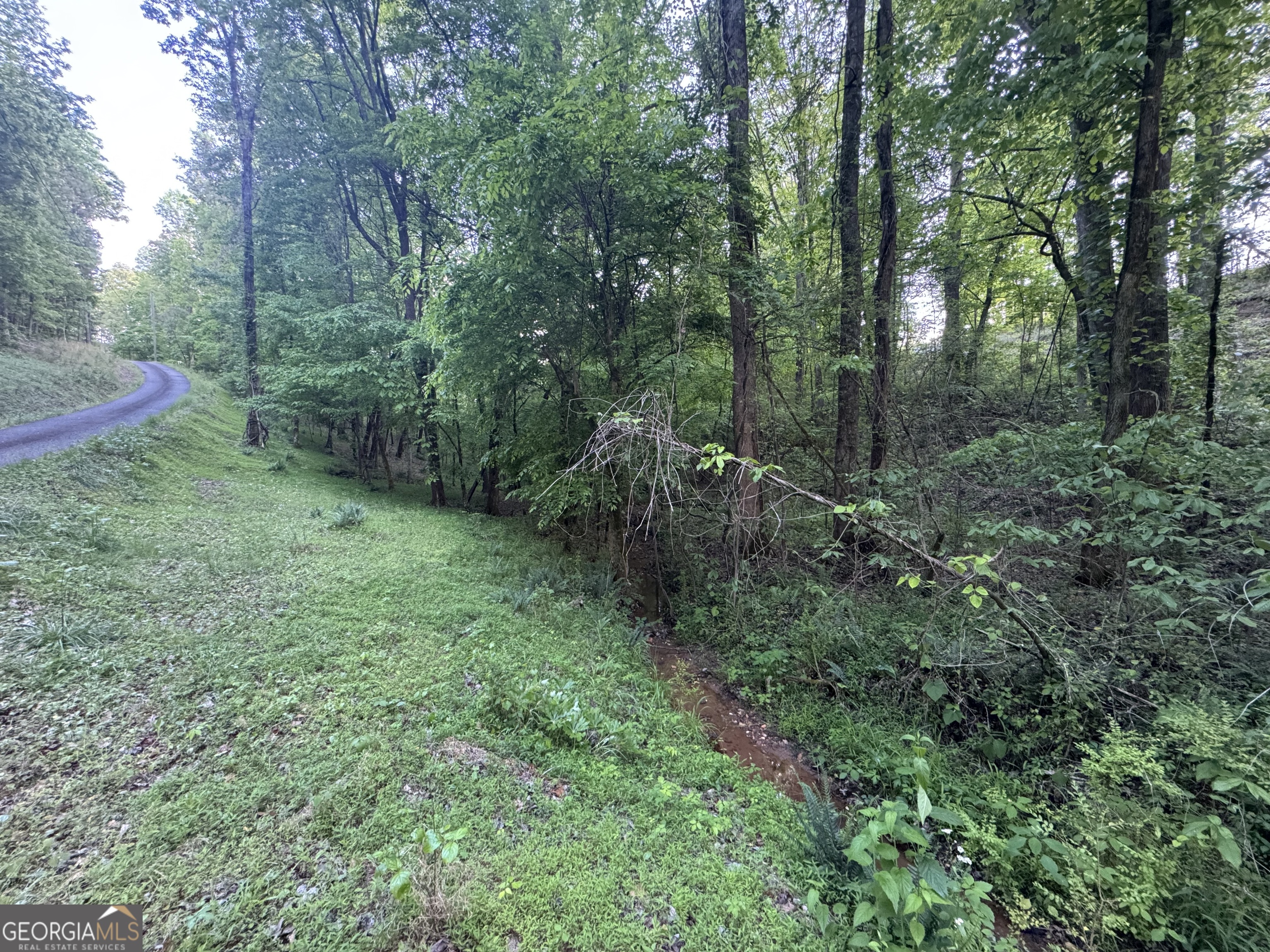 1 Holley Heights Property Photo 4