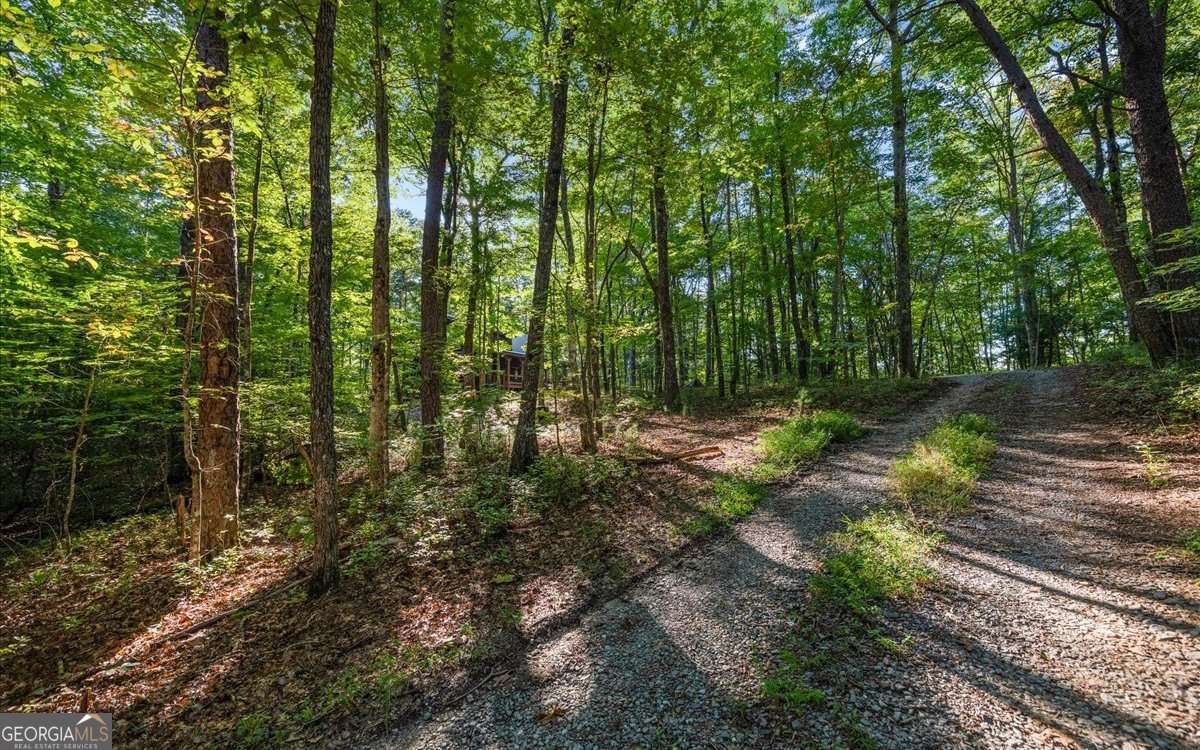 150 Laurel Trace Property Photo 38