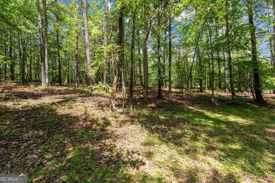 7908 Lambert Road Property Photo 46