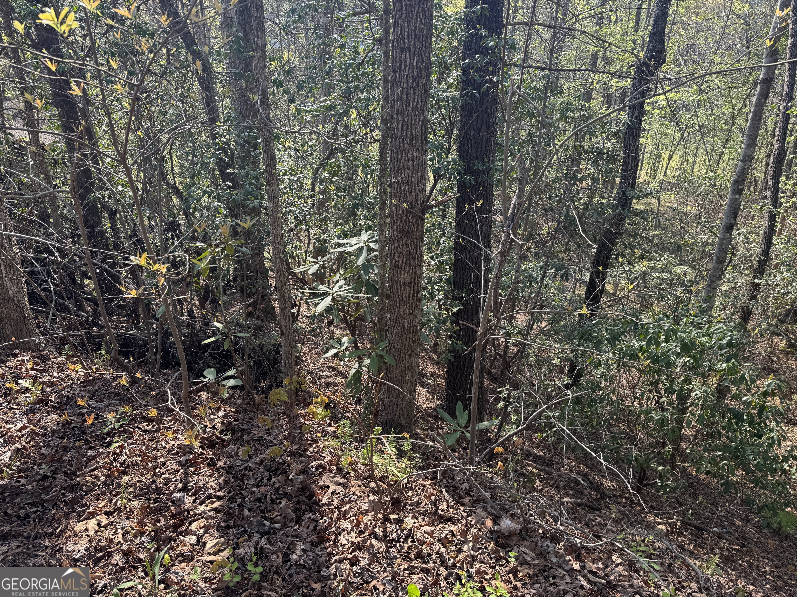 Lot 73 Dach Bruecke Gasse Property Photo 6