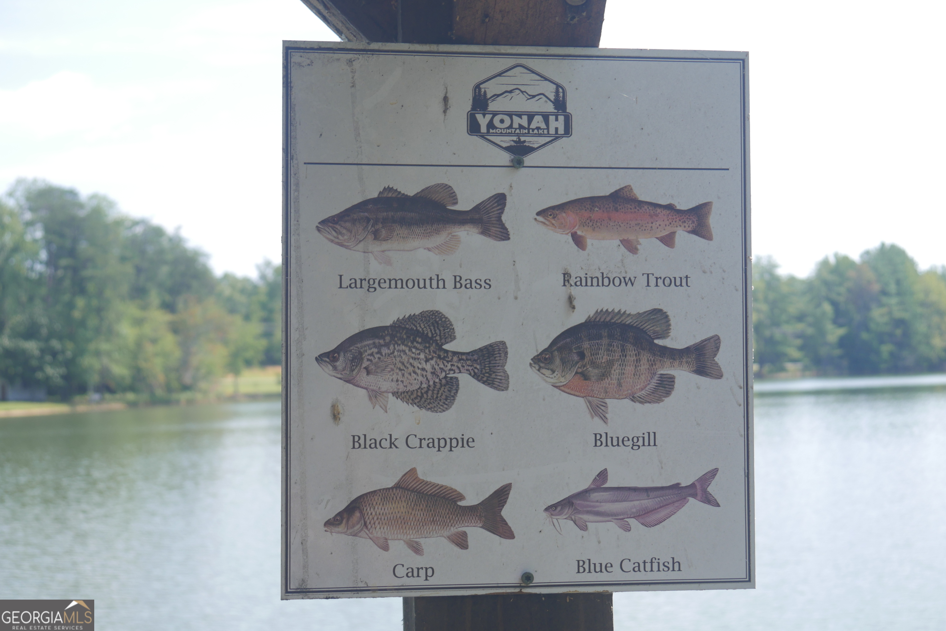Lot 19 Yonah Lake Drive Property Photo 9