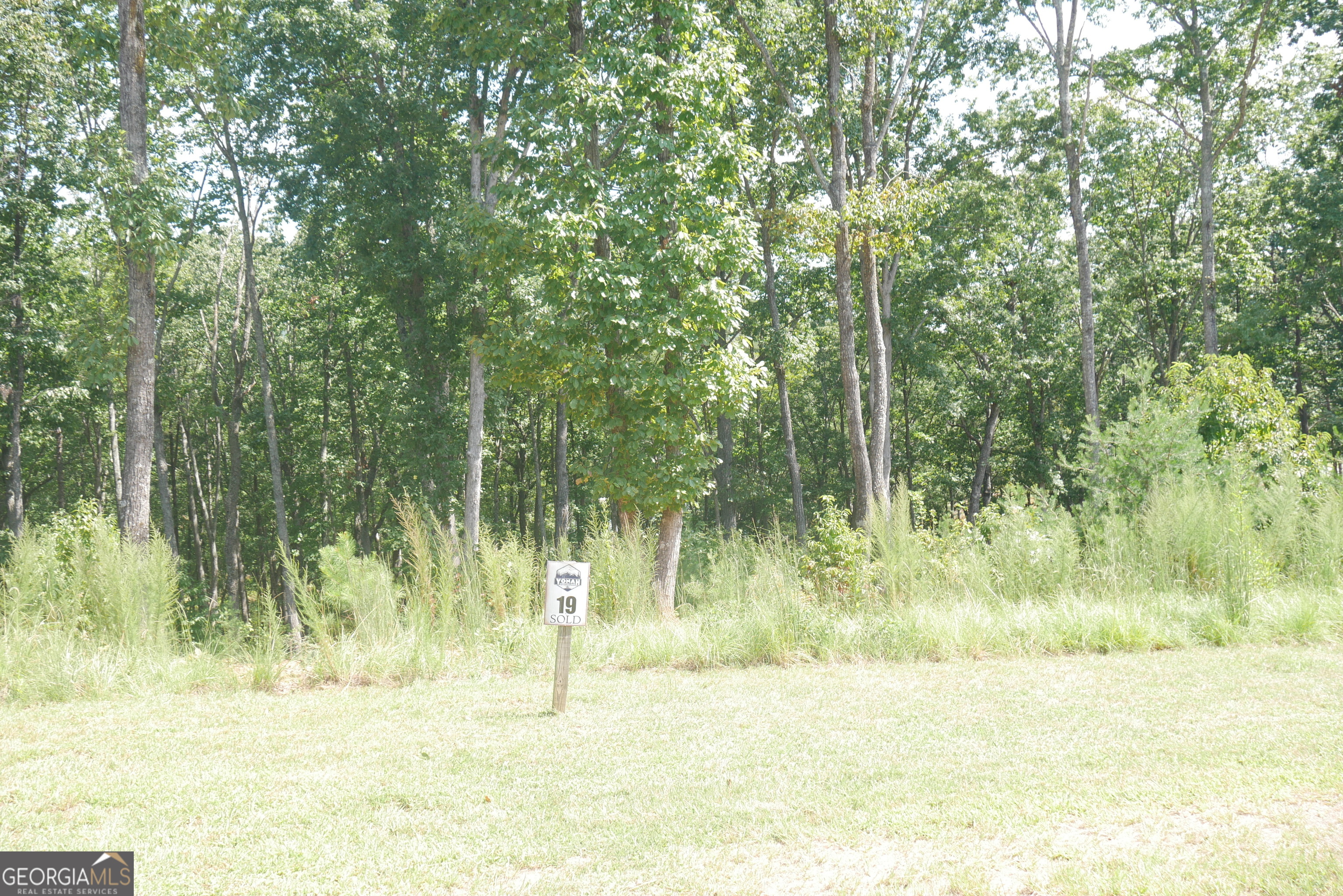 Lot 19 Yonah Lake Drive Property Photo 17
