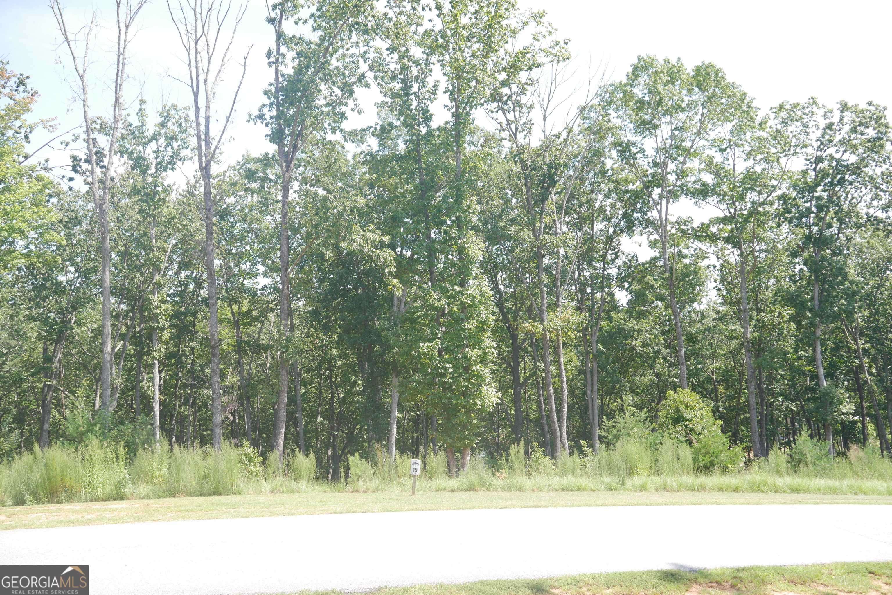Lot 19 Yonah Lake Drive Property Photo 18