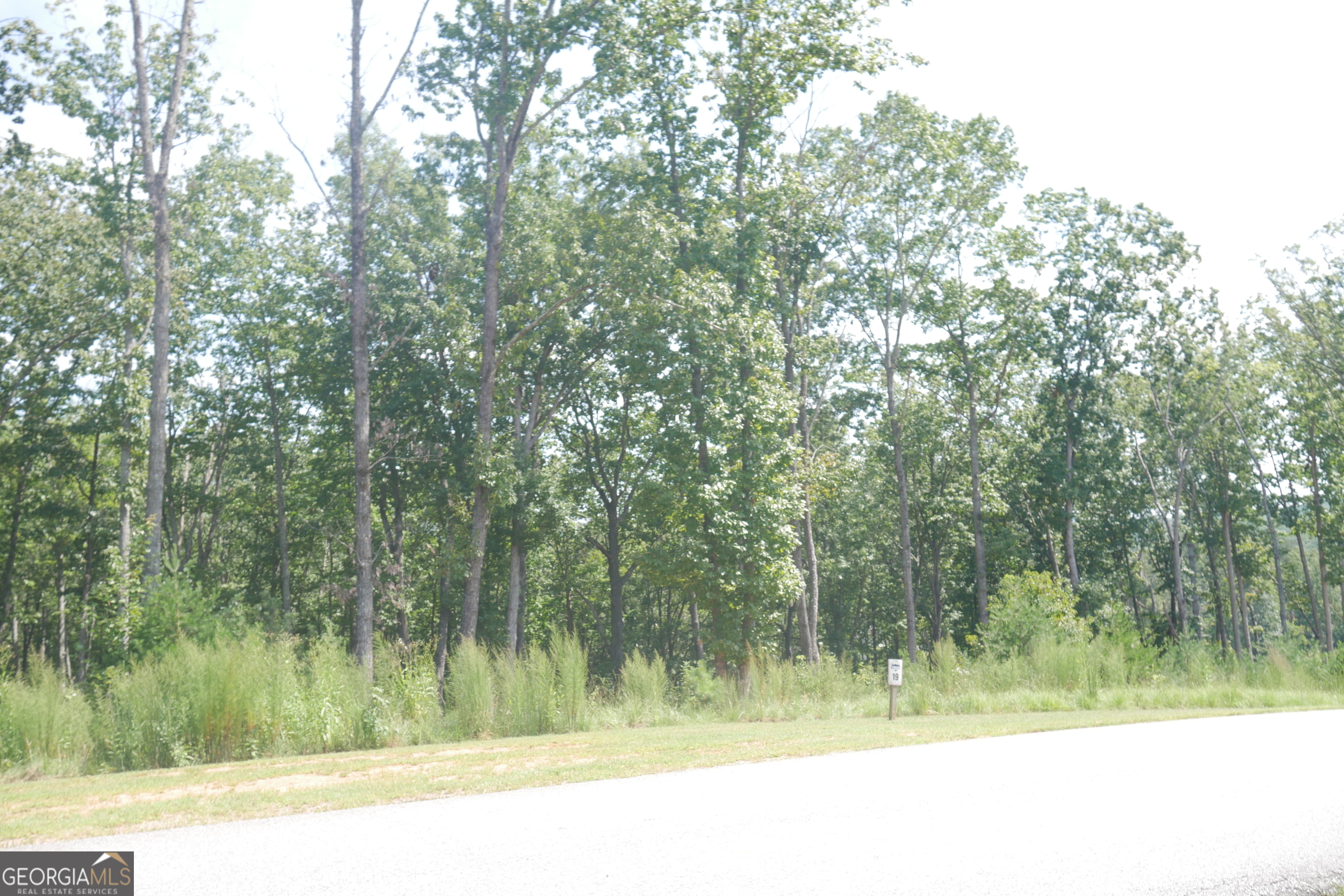 Lot 19 Yonah Lake Drive Property Photo 19