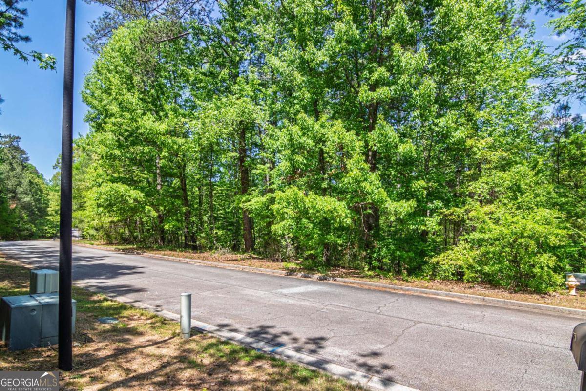 45 Cornish Trace Drive Property Photo 7