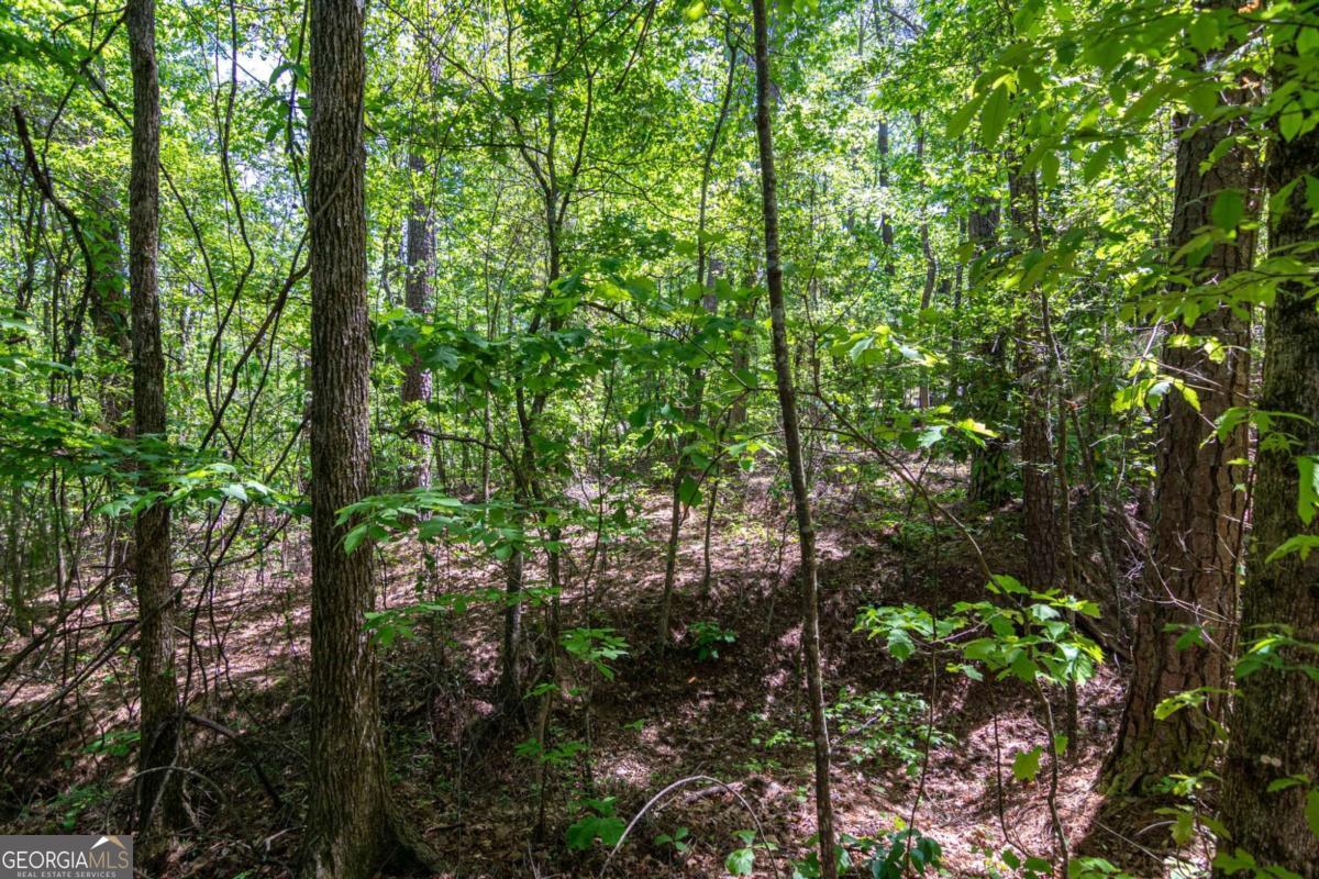 45 Cornish Trace Drive Property Photo 11