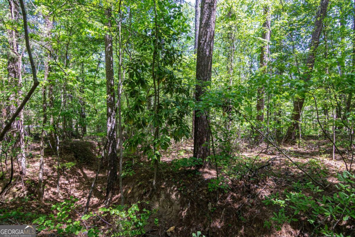 45 Cornish Trace Drive Property Photo 13