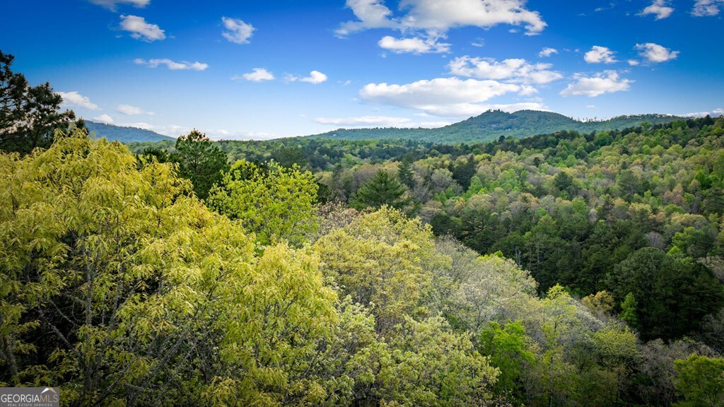 490 Walnut Hills Drive Property Photo 38