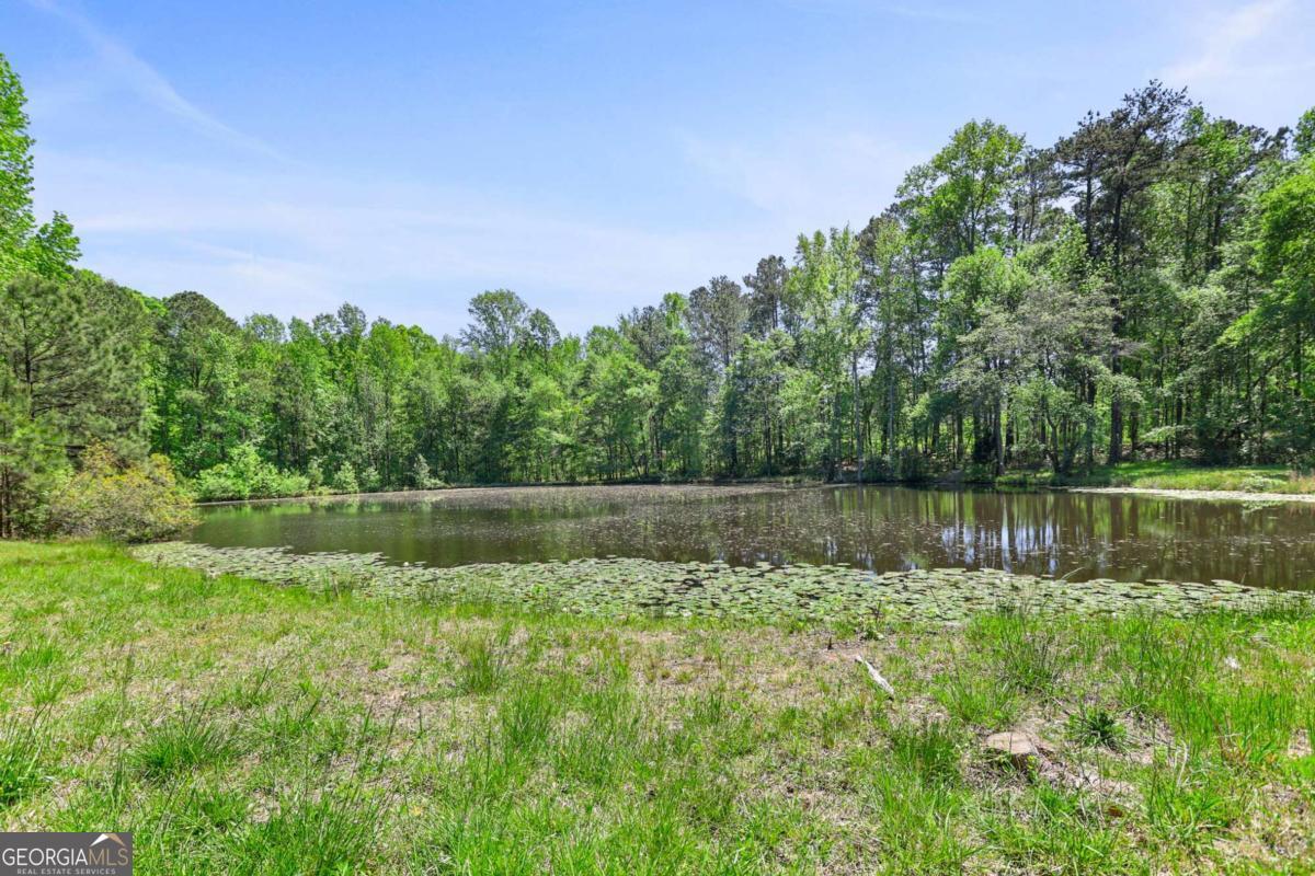 143 Cedar Creek Road Property Photo 47