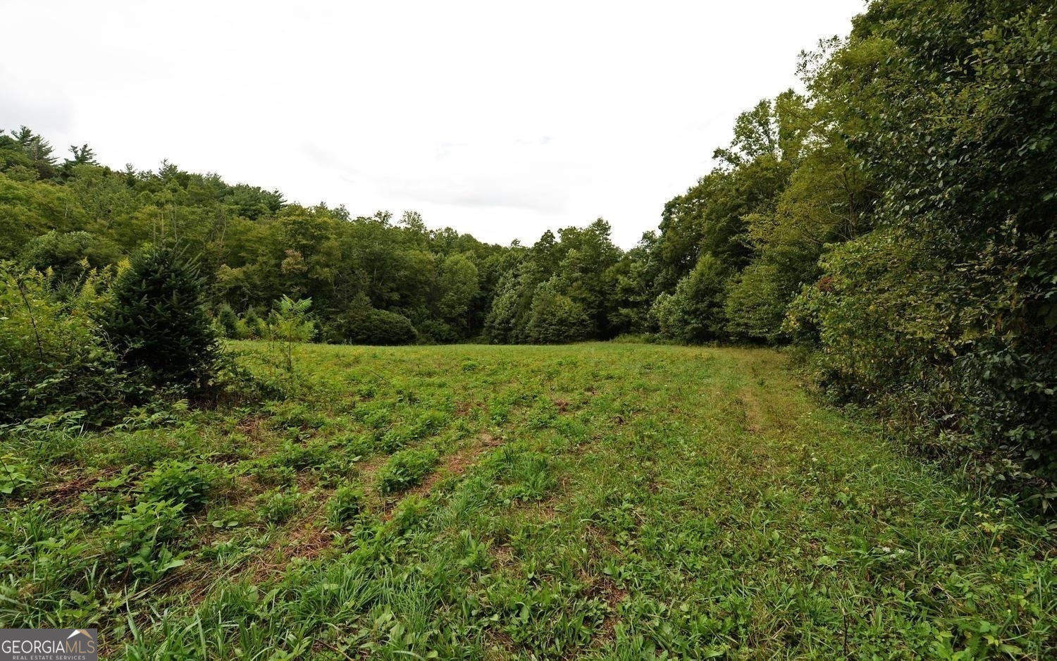 0 Lloyds Cove Property Photo 12