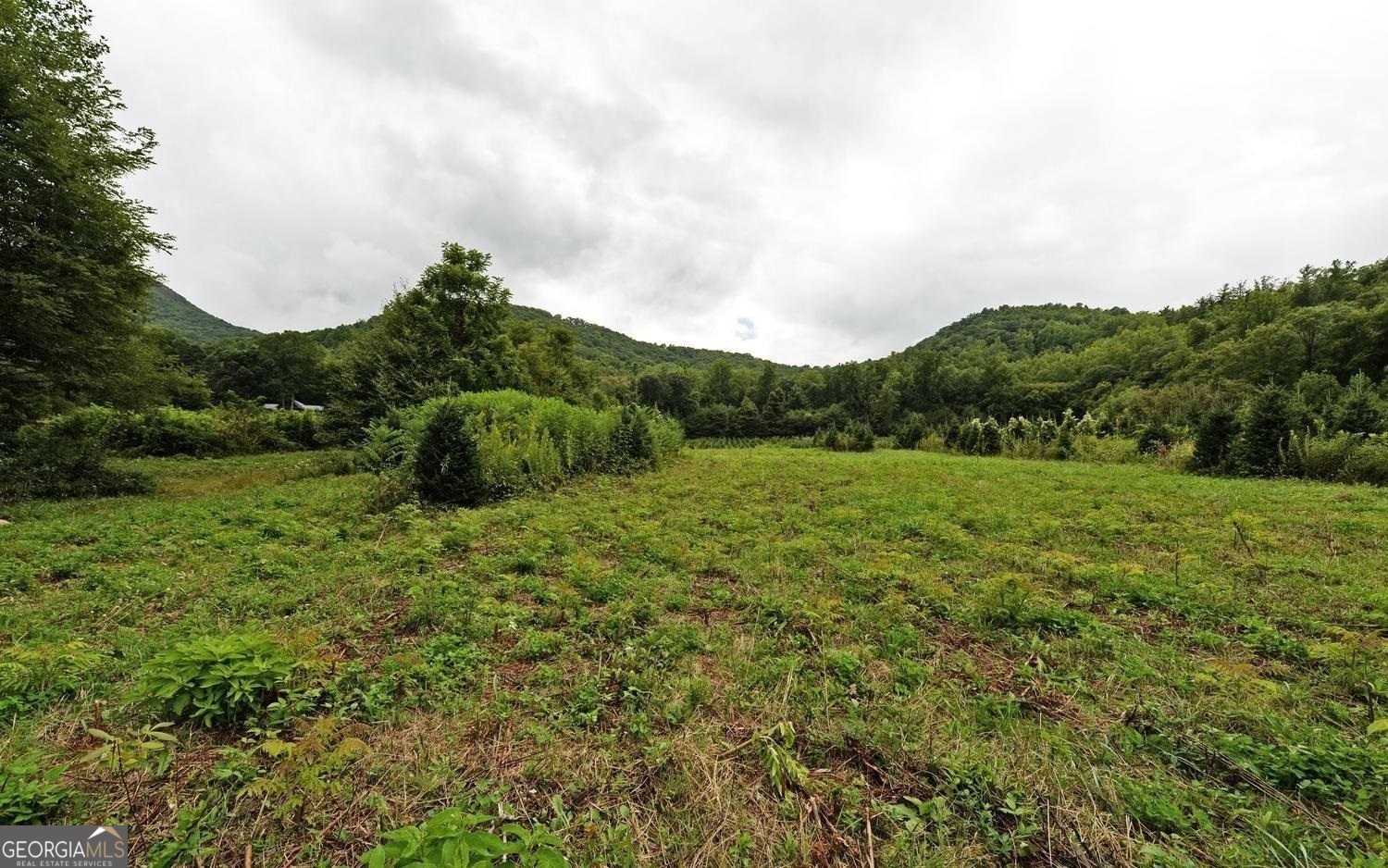 0 Lloyds Cove Property Photo 15