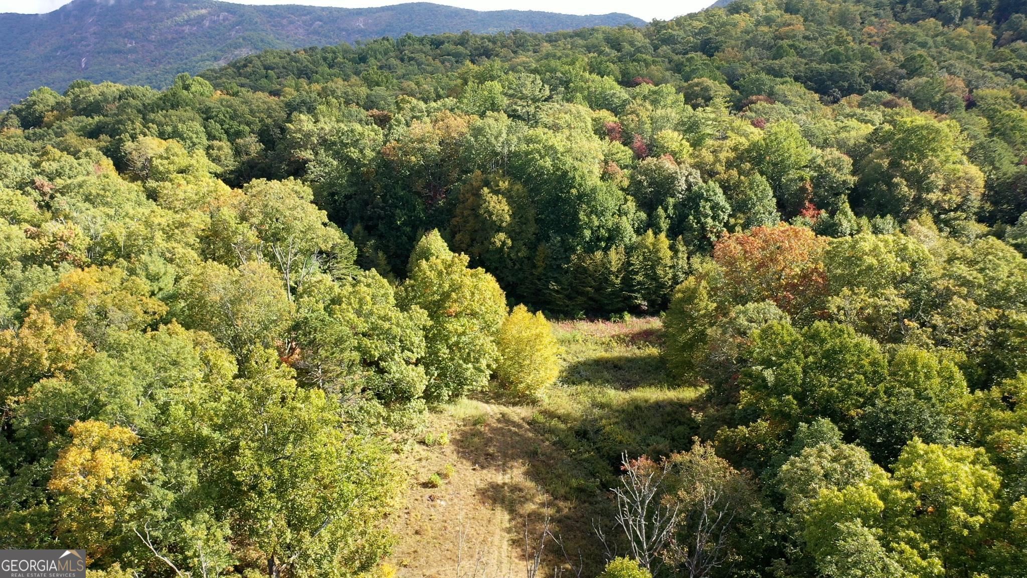 0 Lloyds Cove Property Photo 19