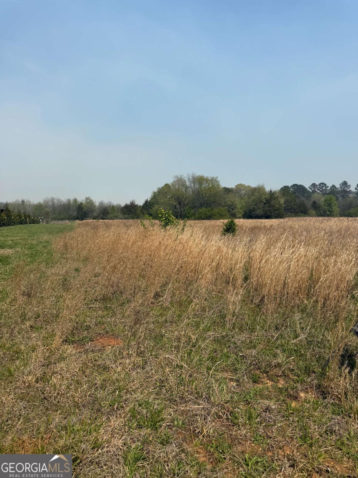 38 Ravenfield Road Property Photo 2