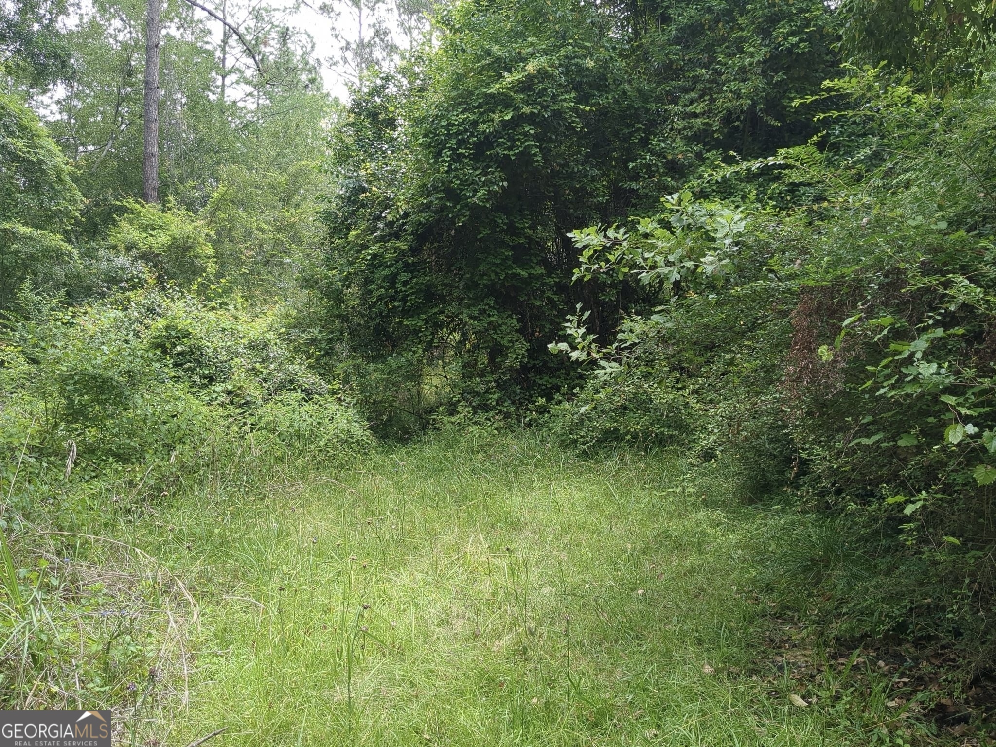 703 Parrish Avenue Property Photo 2