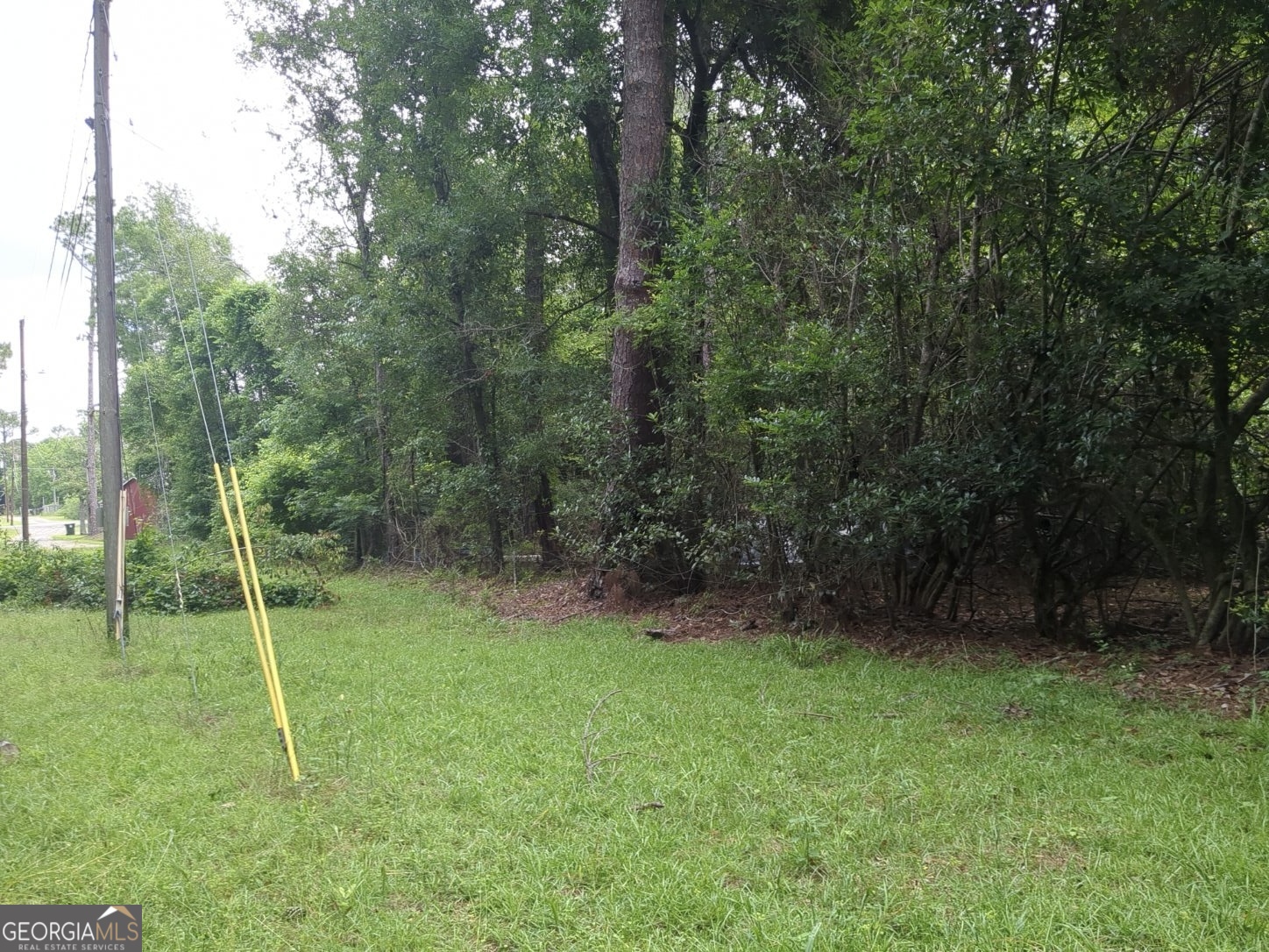 703 Parrish Avenue Property Photo 3
