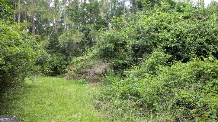 703 Parrish Avenue Property Photo 4