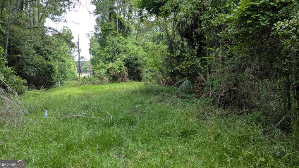 703 Parrish Avenue Property Photo 6