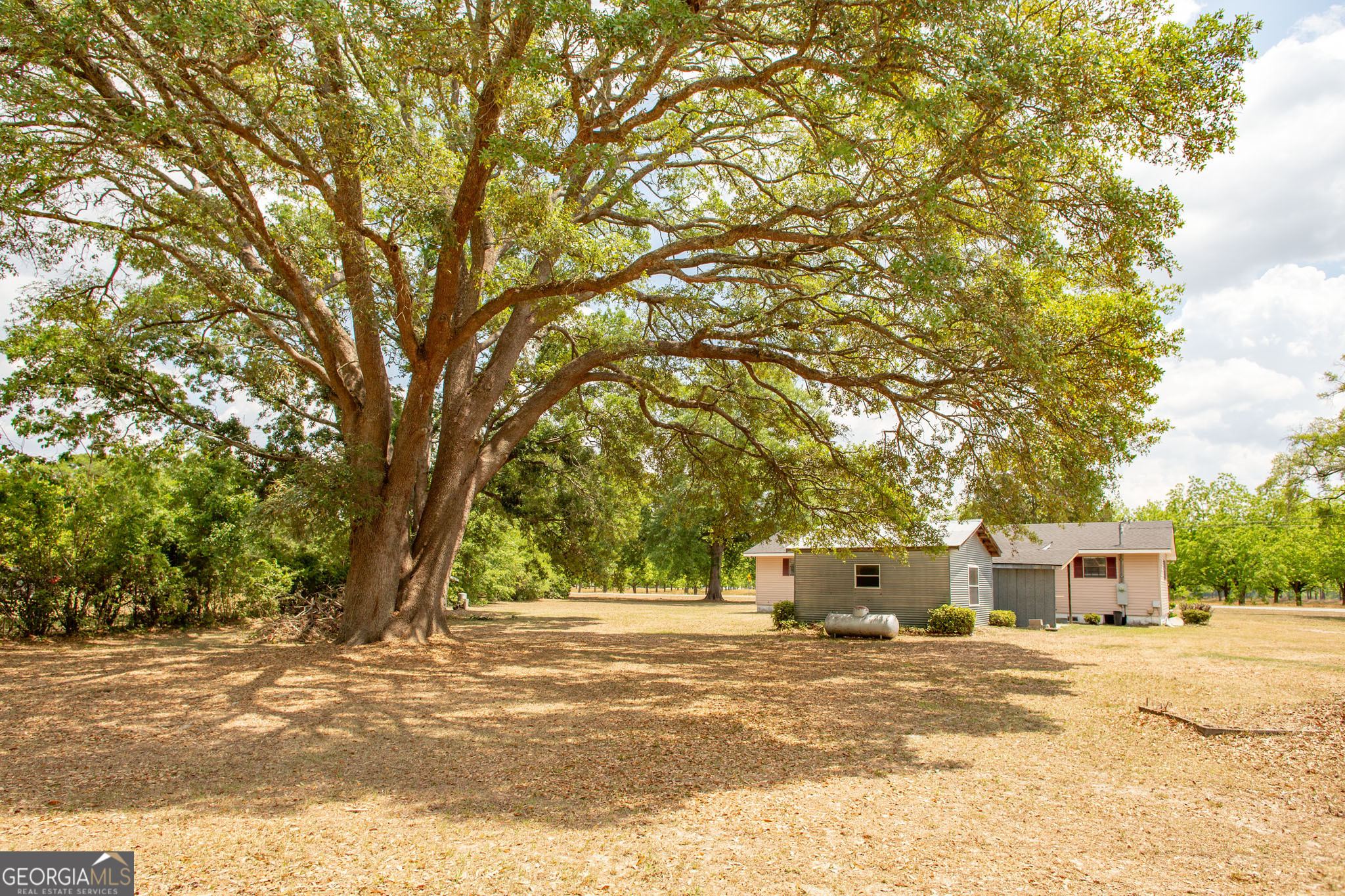 3113 Ware Street Property Photo 54
