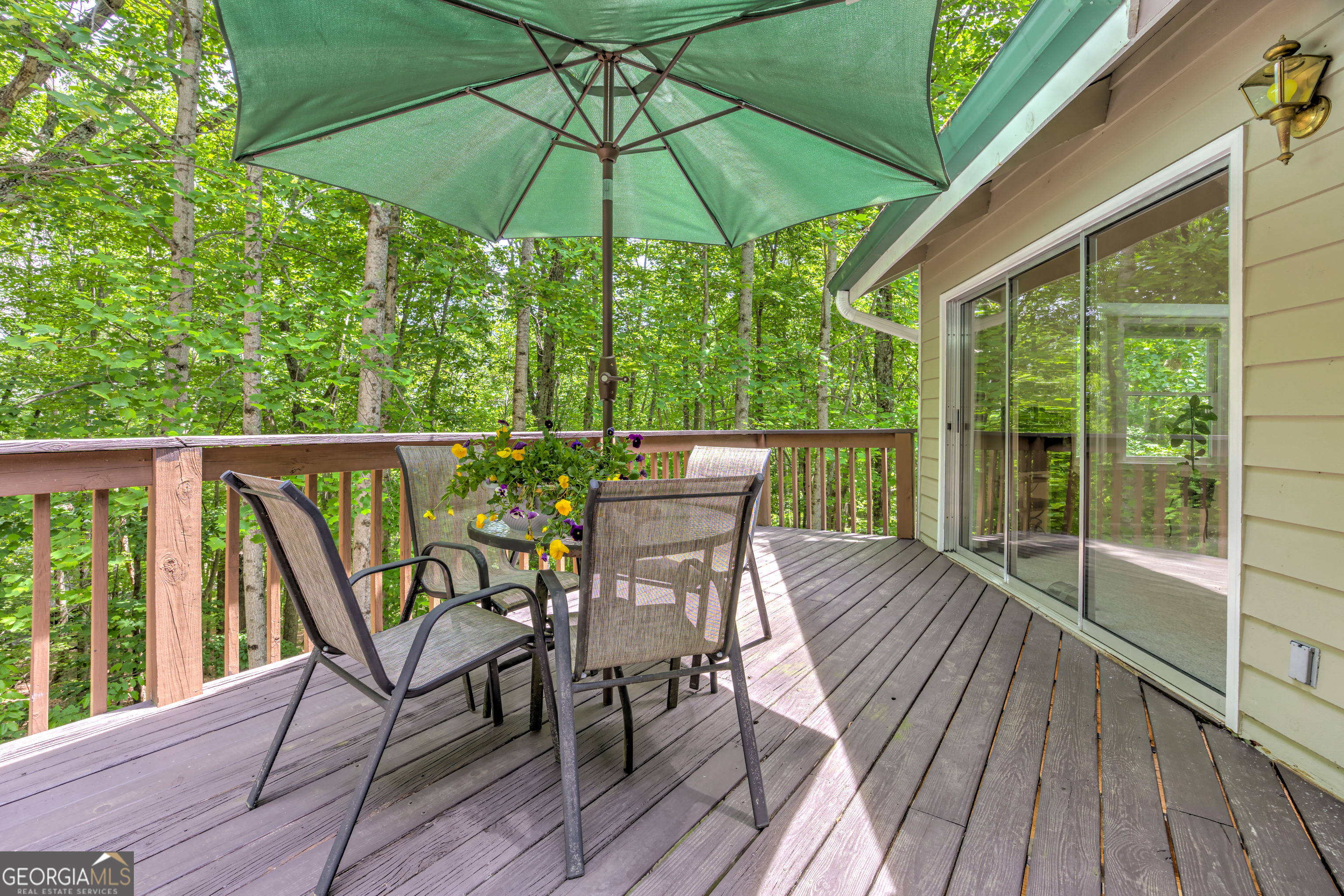 24 Sal Mountain Way Property Photo 48