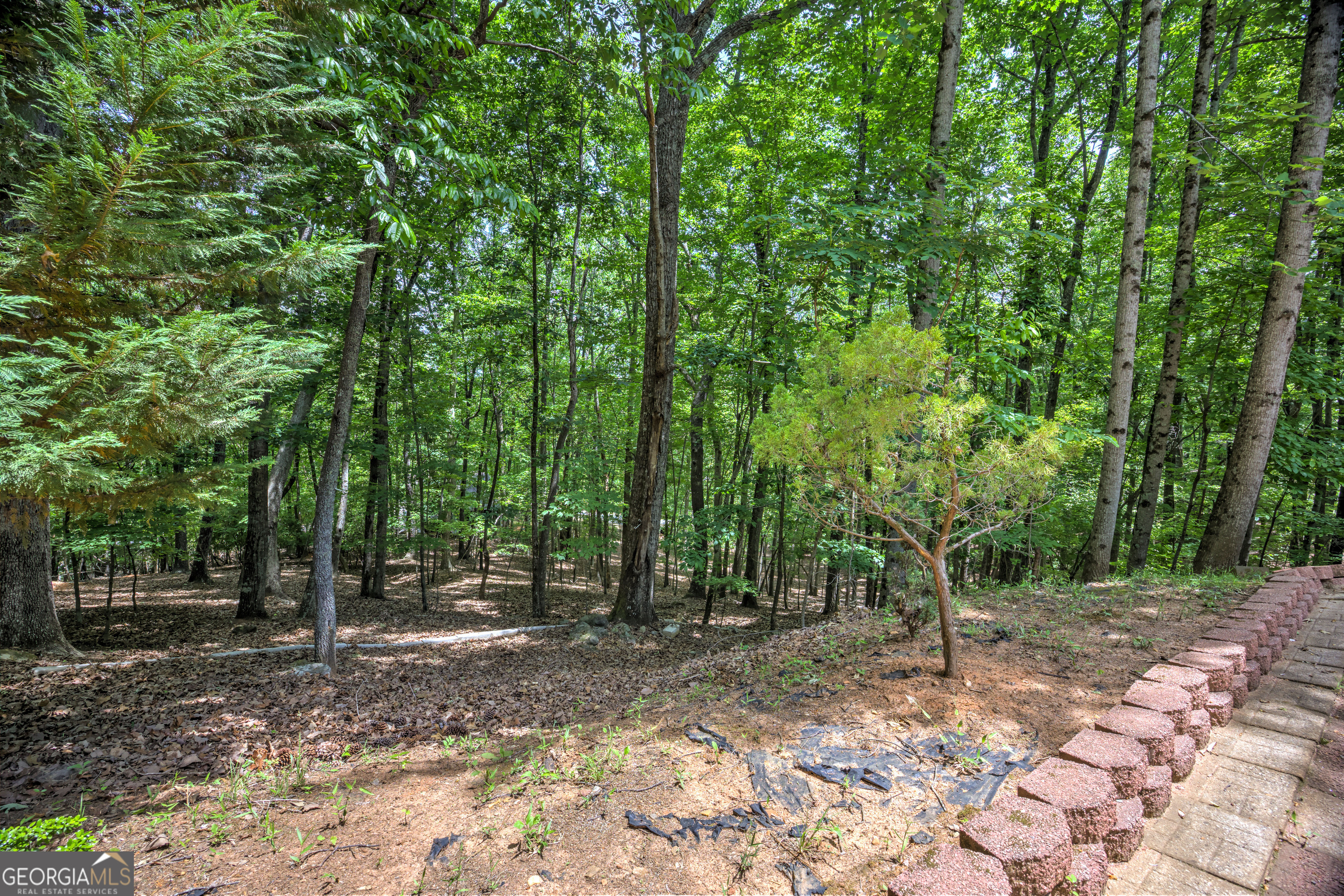 24 Sal Mountain Way Property Photo 54