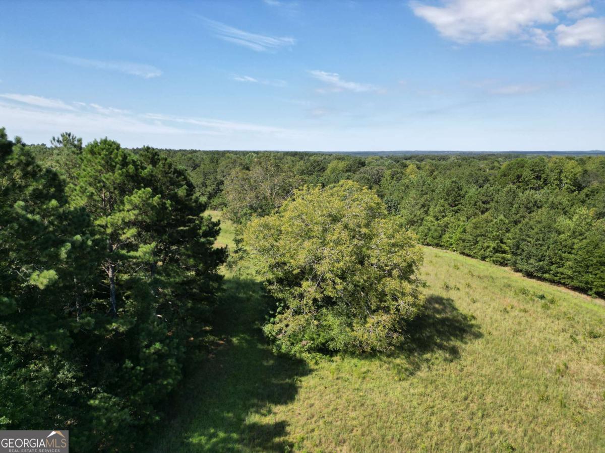 1170 Ash Road Property Photo 39