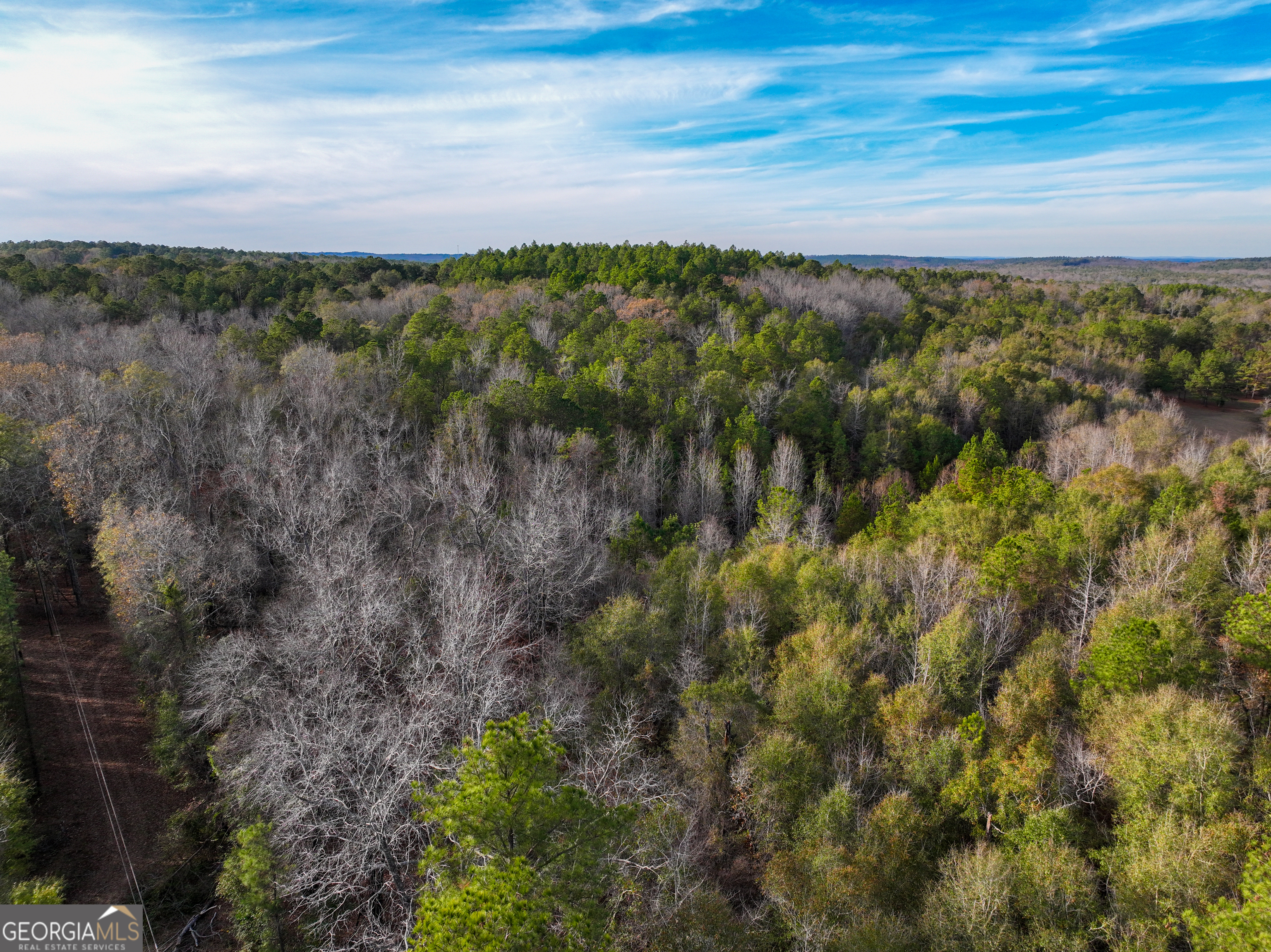0 Roberta Highway Property Photo 6