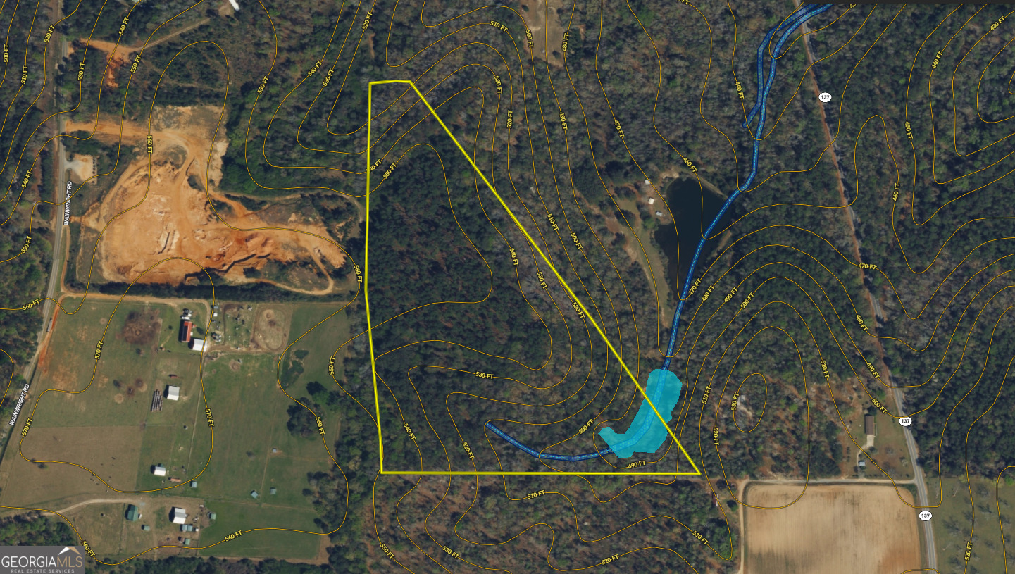 0 Roberta Highway Property Photo 13