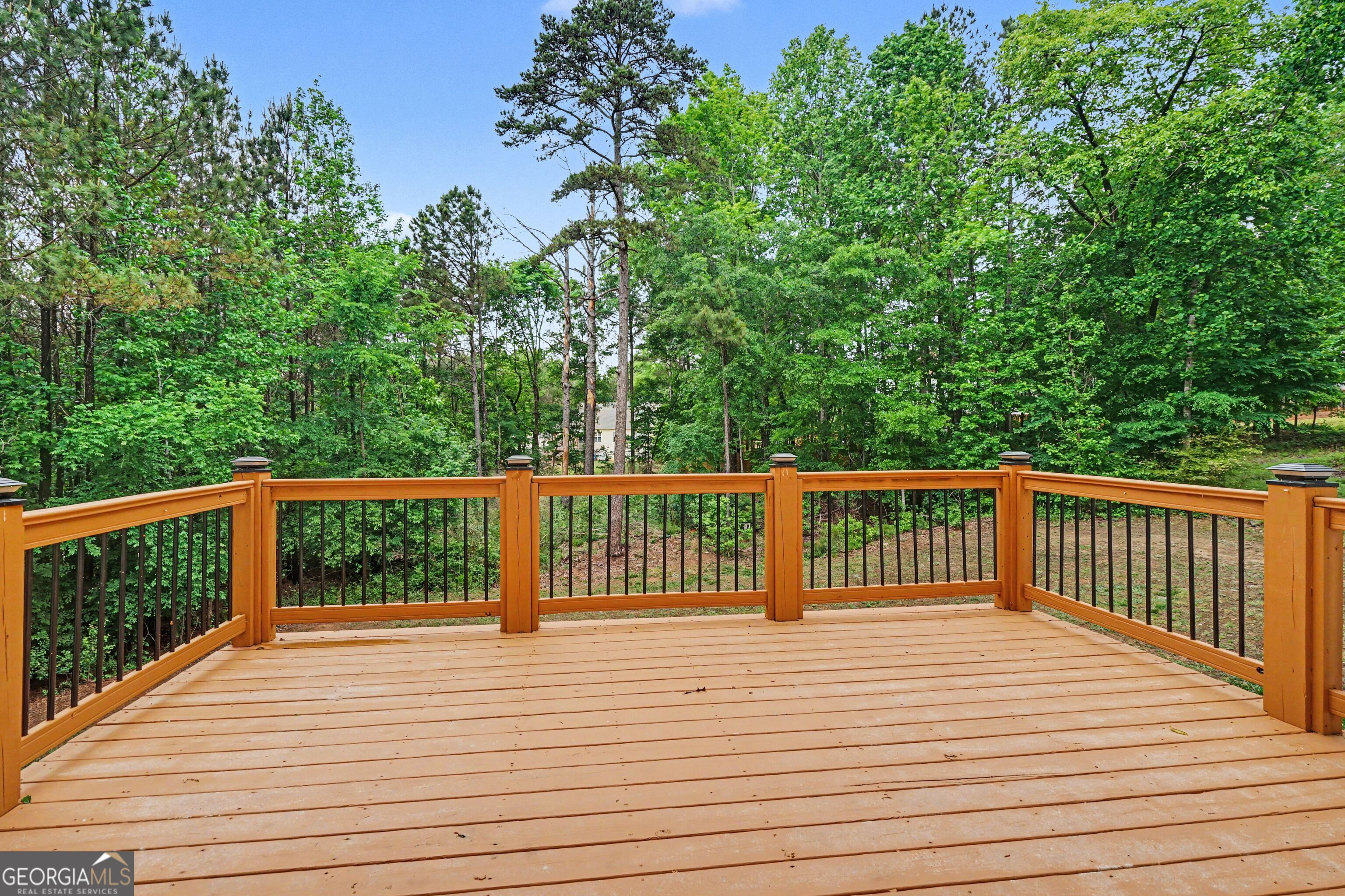 1705 Littlebrook Court Property Photo 52